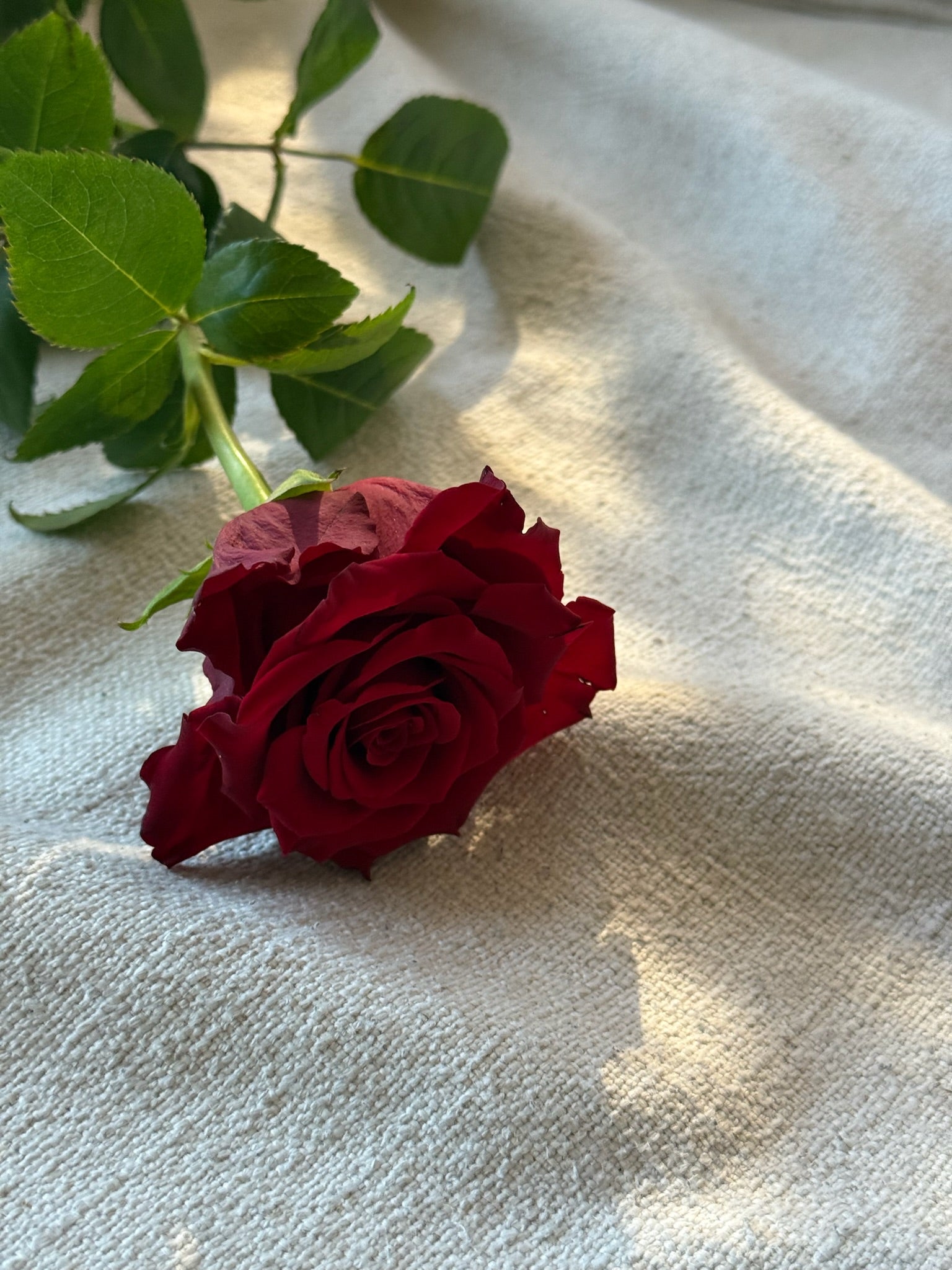 Red Red Wine (Signature Petal Arrangement)