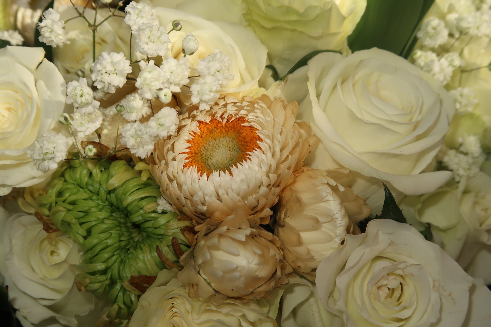 Eternal White (Signature Petal Arrangement)