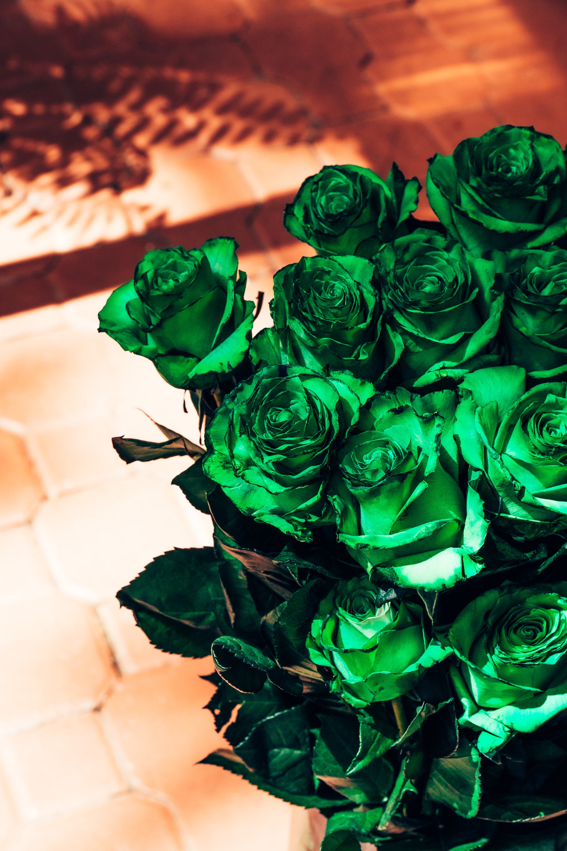 Bouquet of green roses on a textured surface
