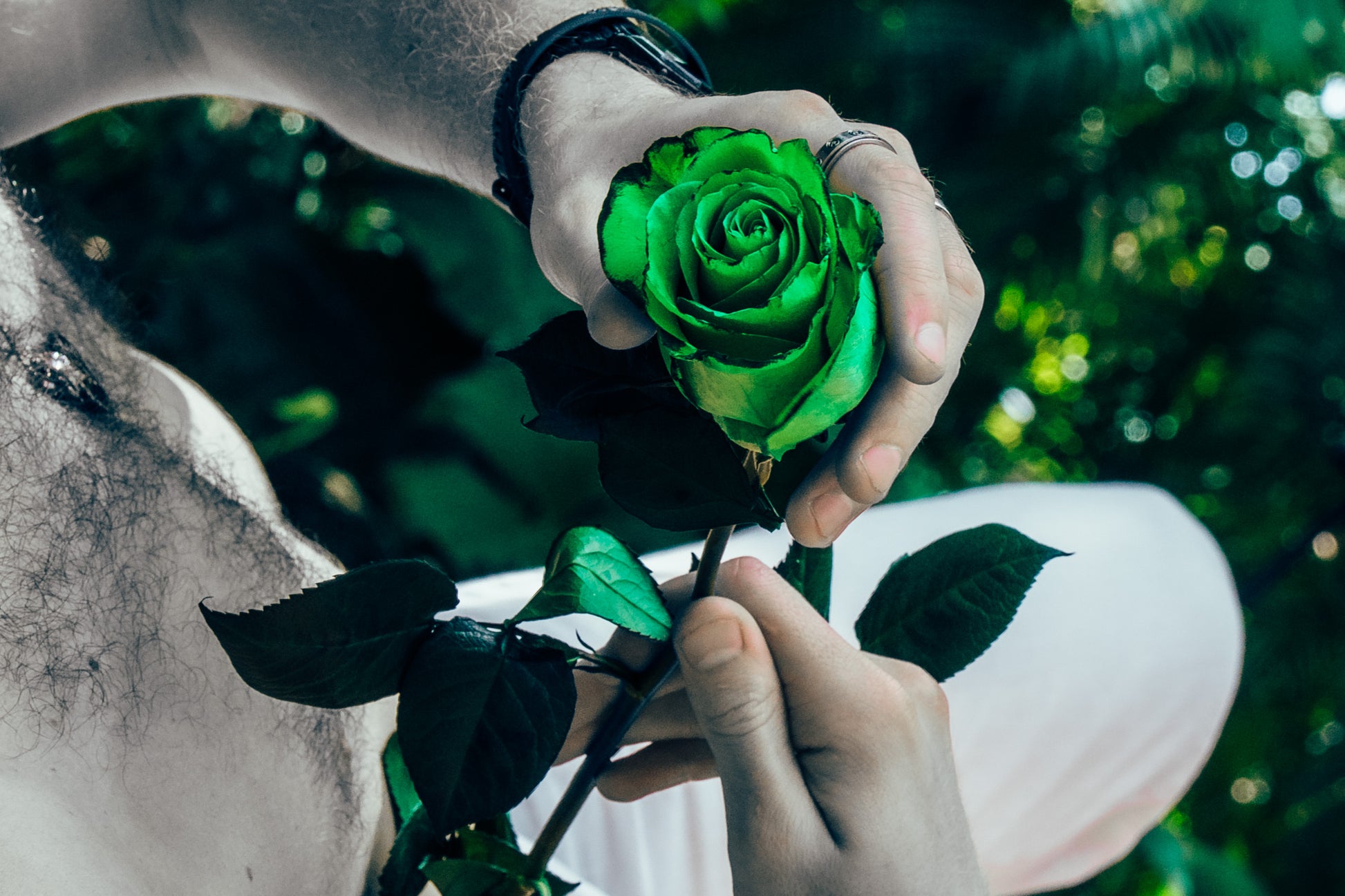 Person holding a green rose against a blurred natural background