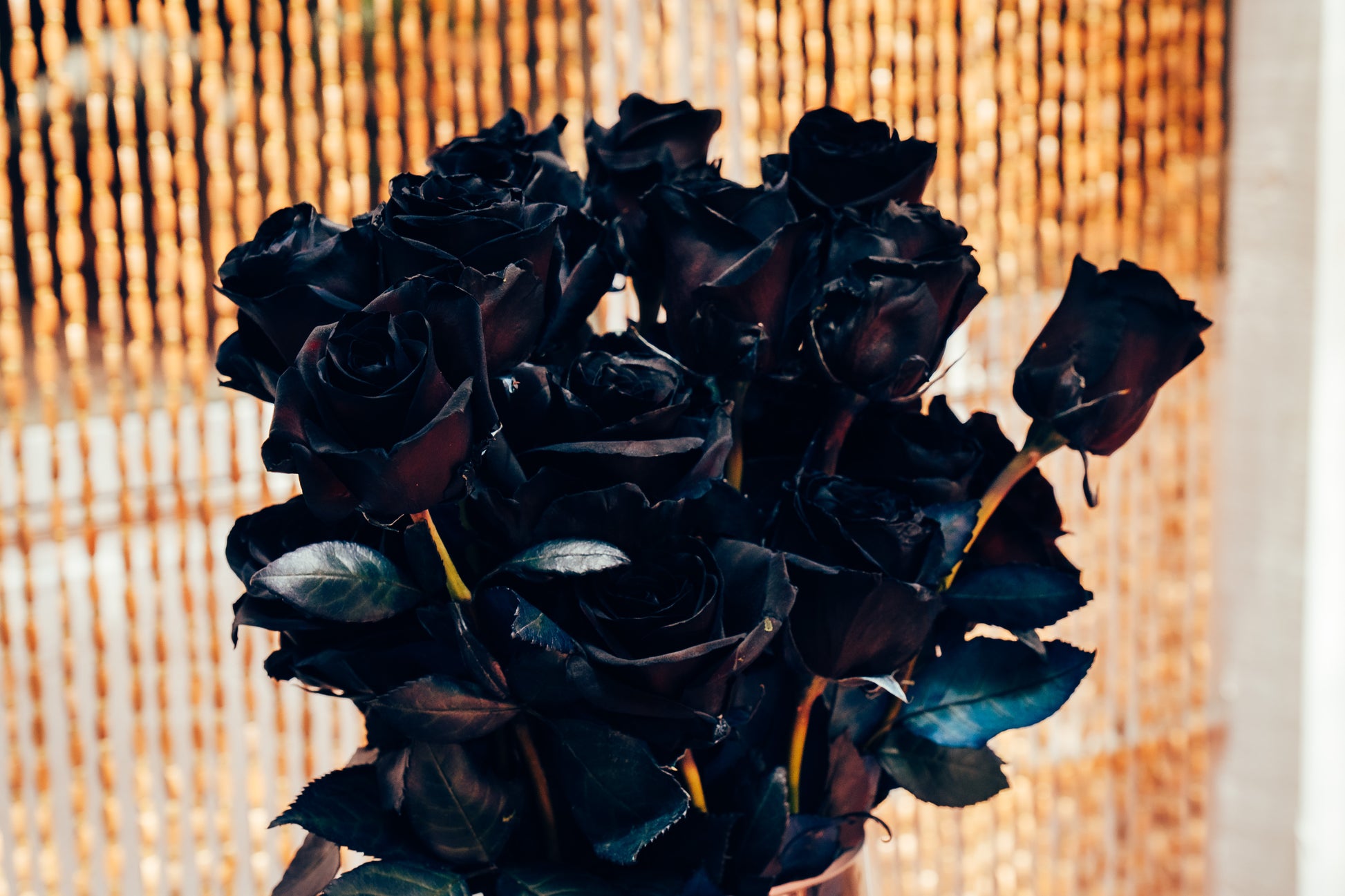 Bouquet of black roses against a textured beige background