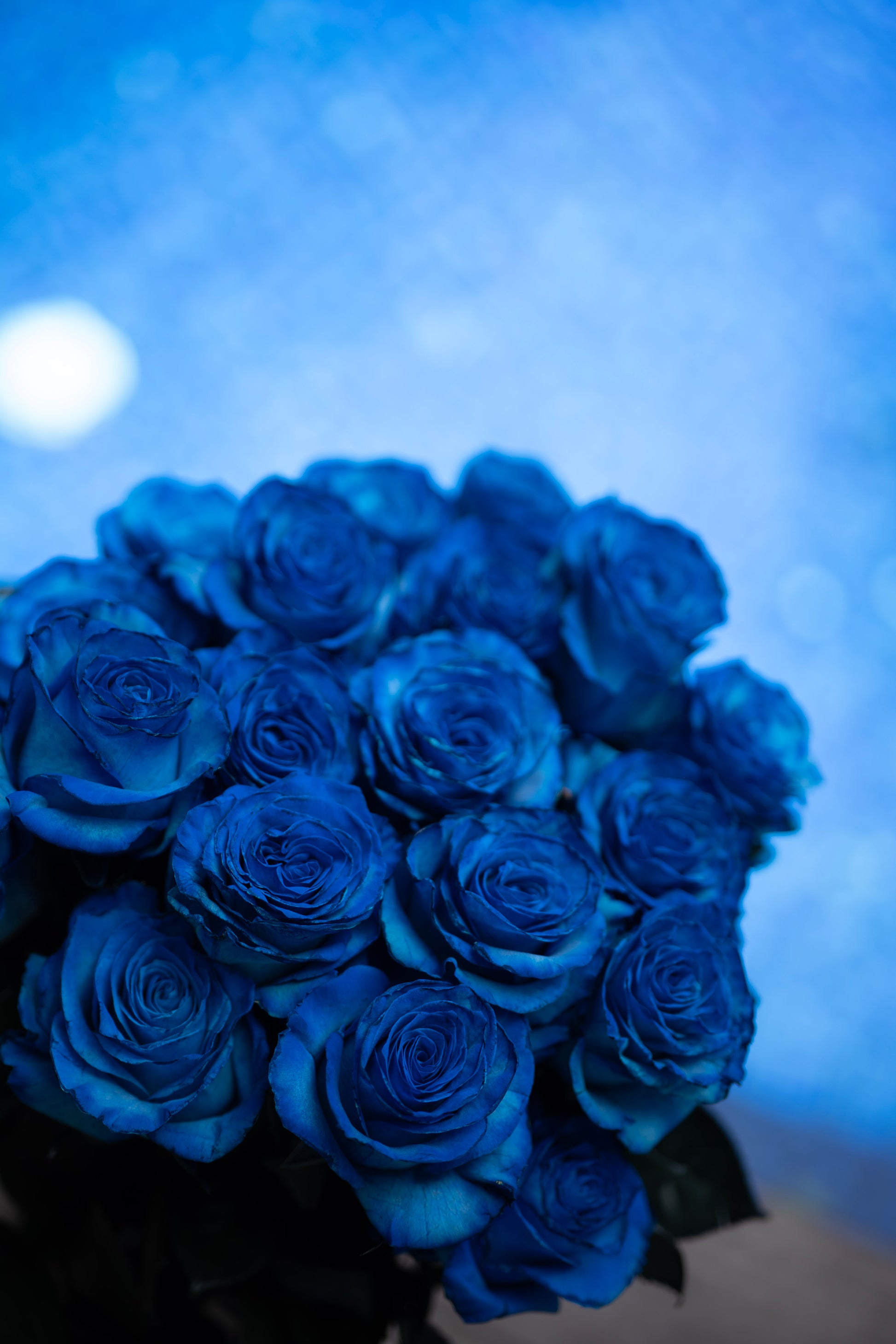 Bouquet of blue roses against a blurred blue background