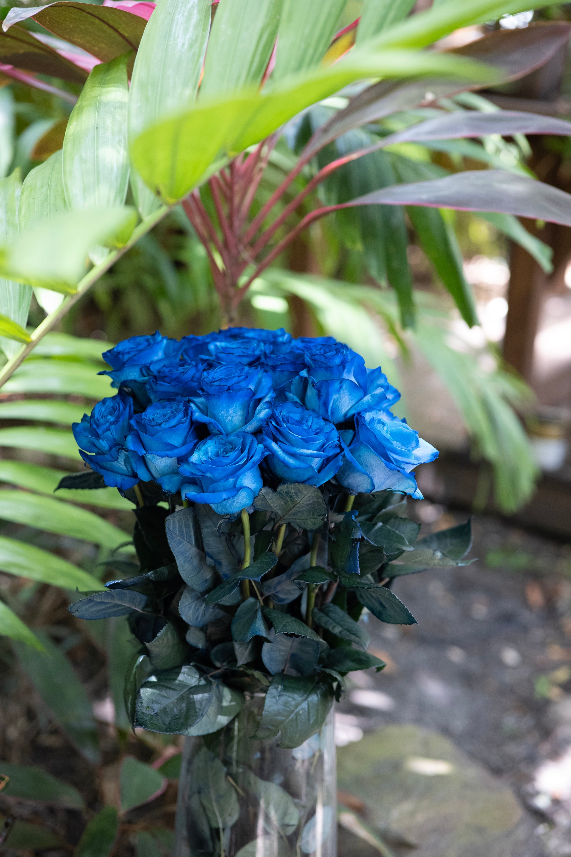 Bouquet of blue roses in a vase with green leaves in the background