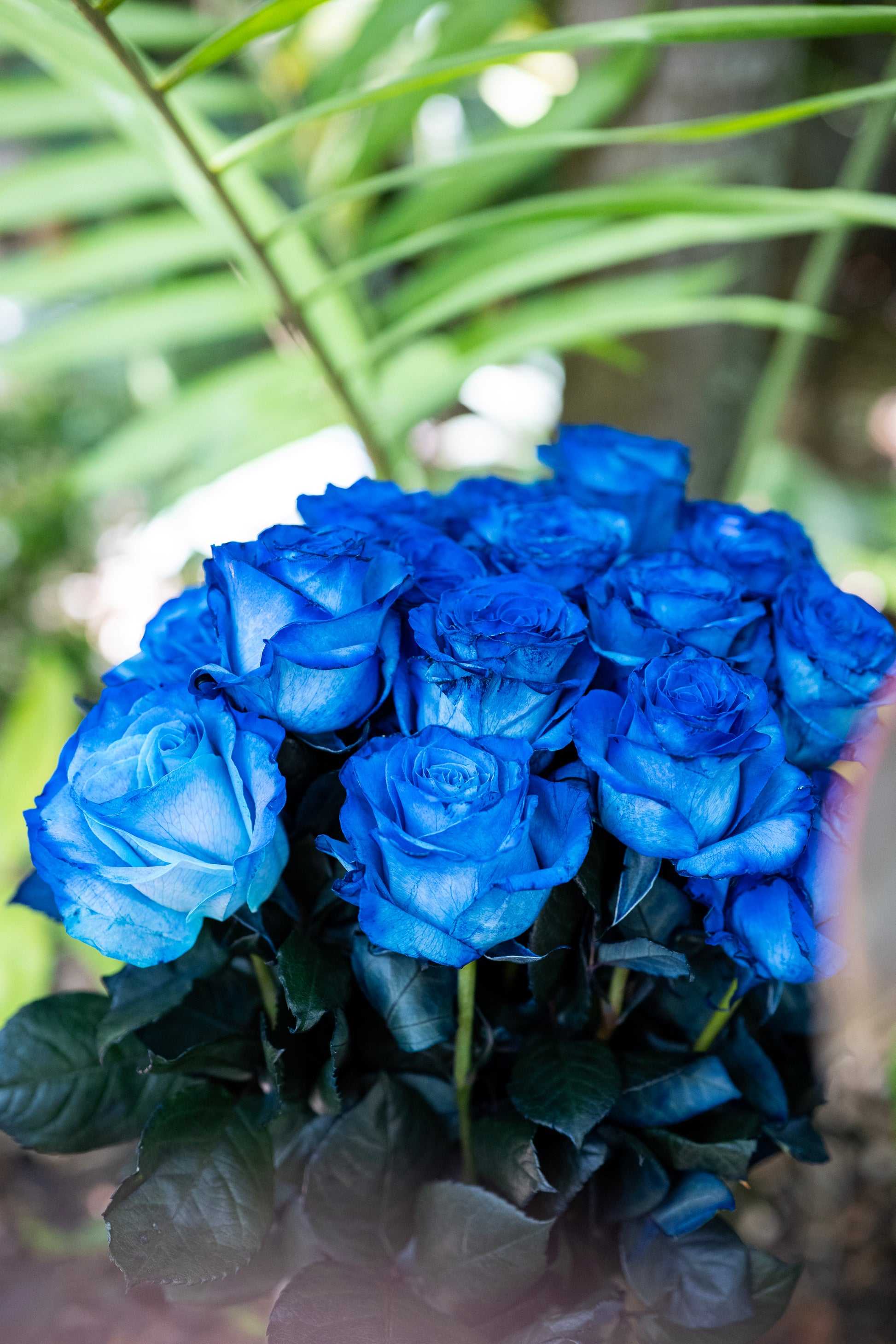 Bouquet of blue roses with green leaves against a blurred natural background