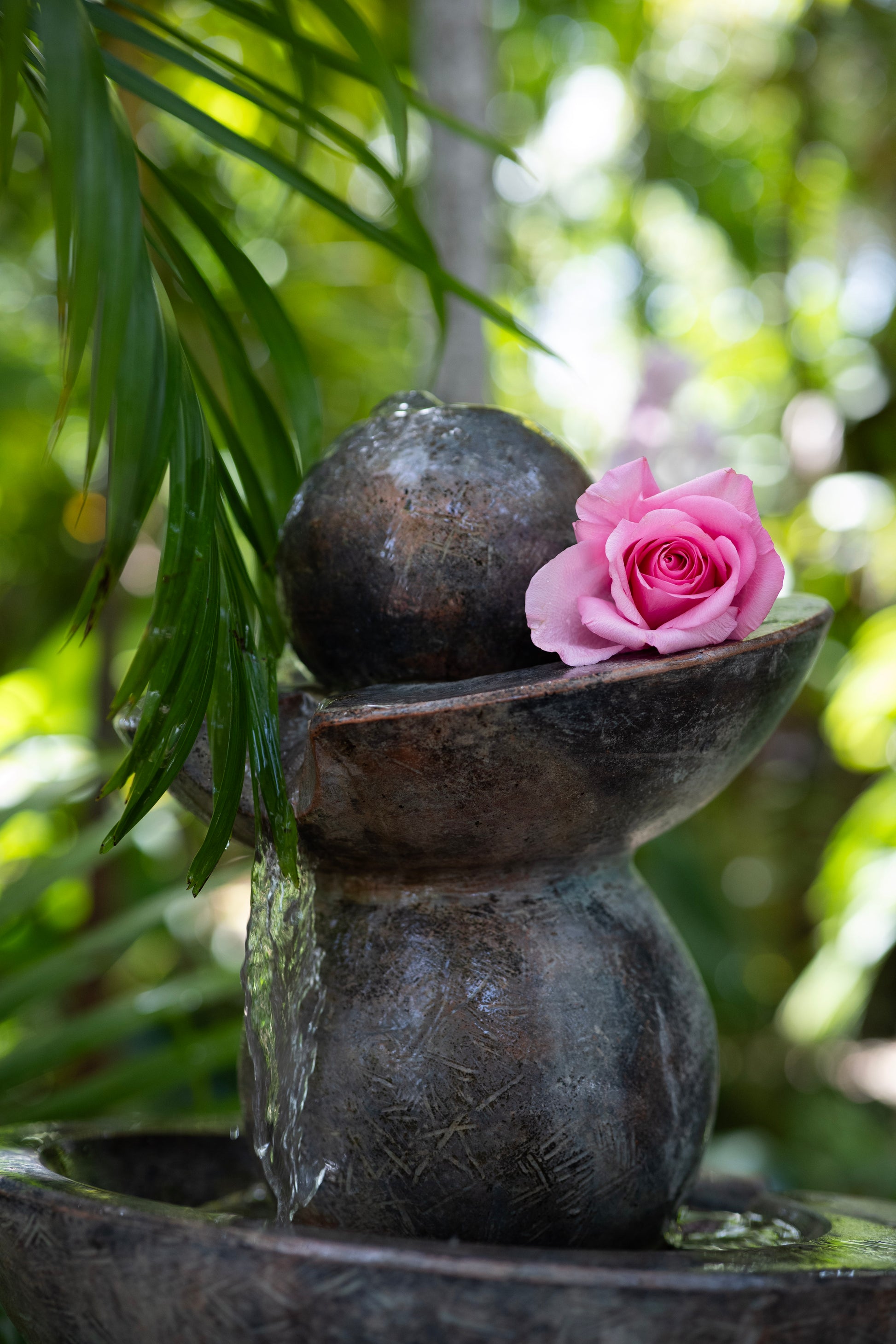 Fountain with pink rose and water droplets surrounded by greenery