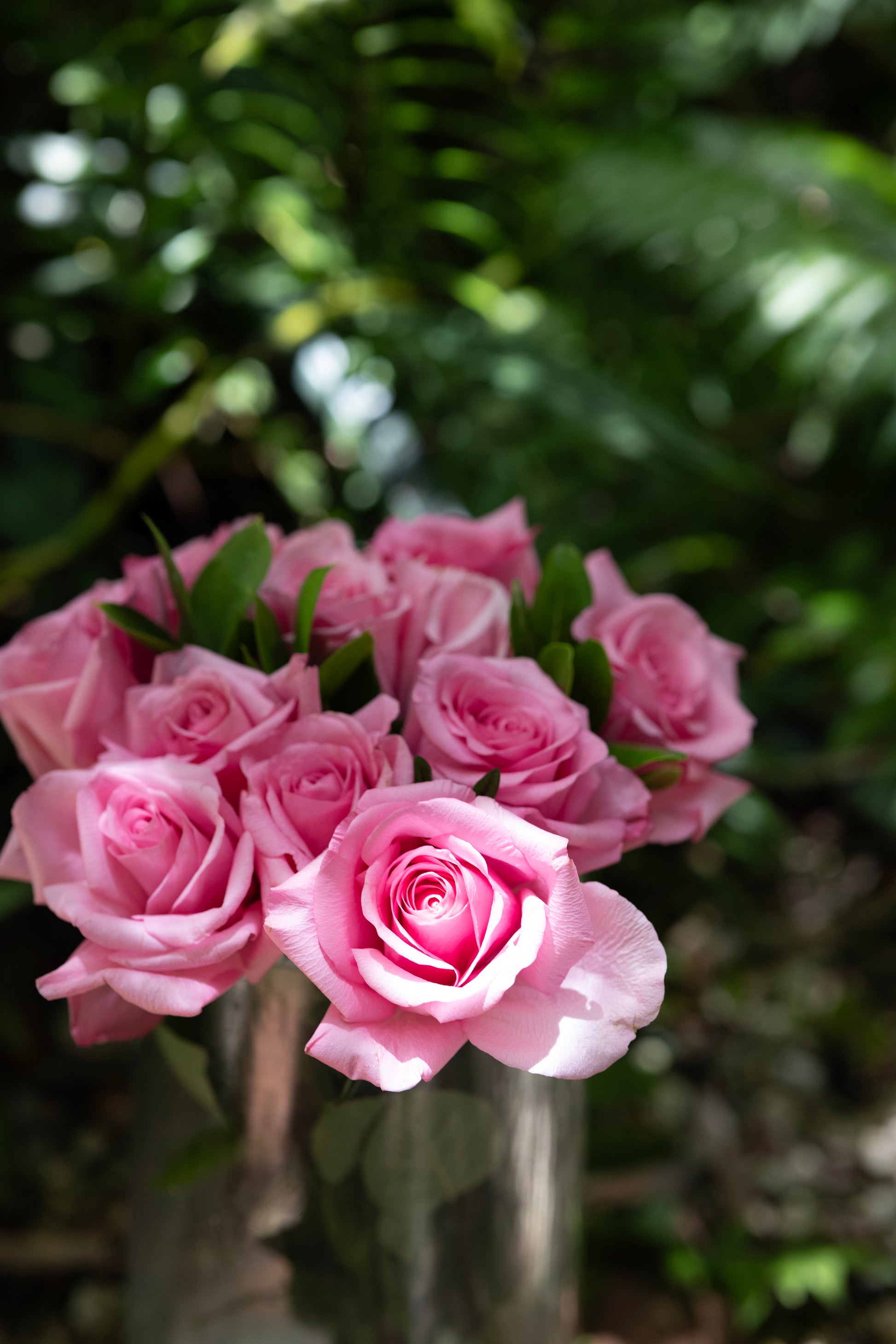 Bouquet of pink roses in a clear vase with a blurred green background