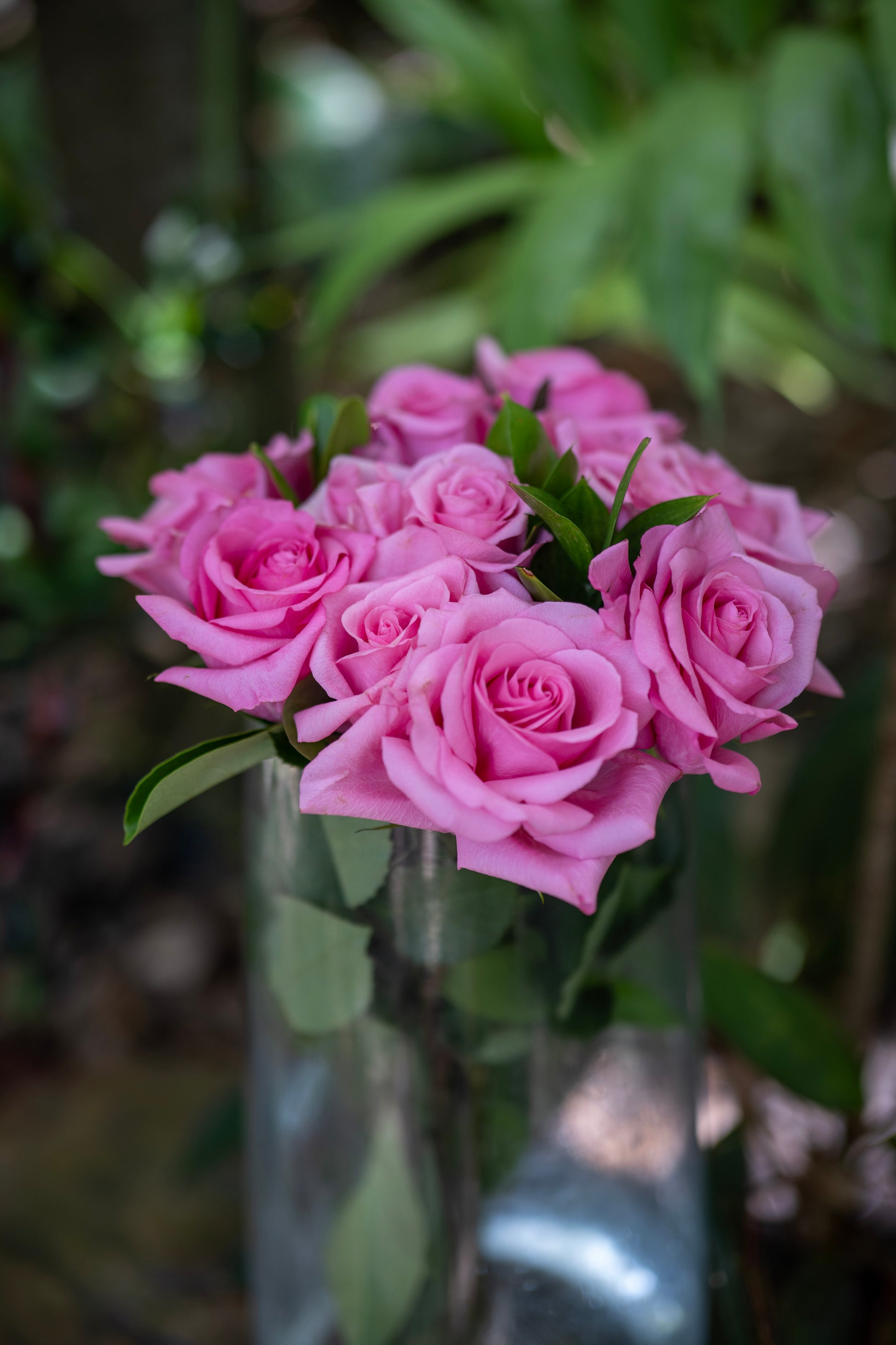 Bouquet of pink roses in a clear vase with green leaves on a blurred natural background