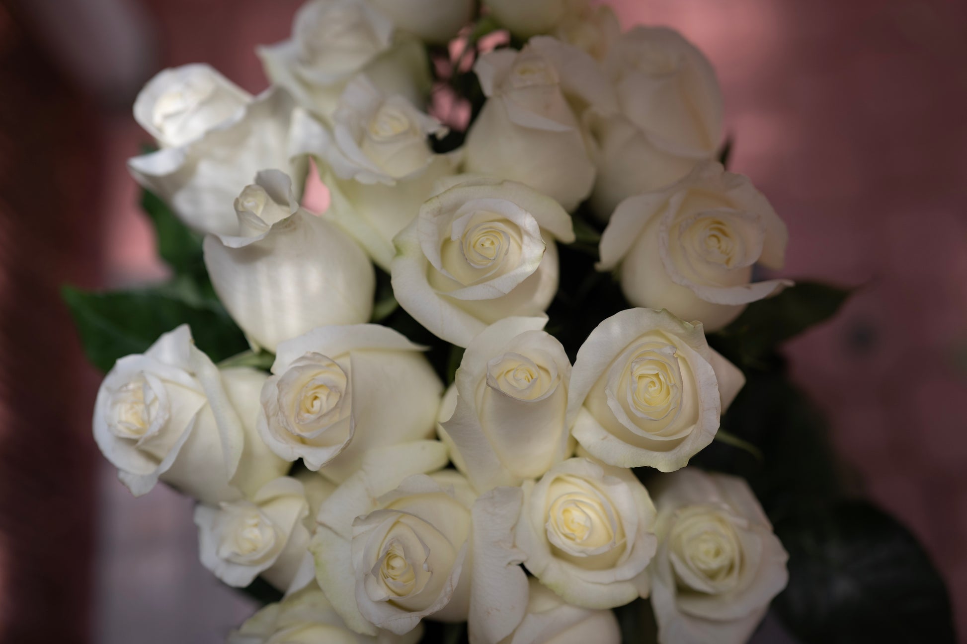 Bouquet of white roses with a blurred background