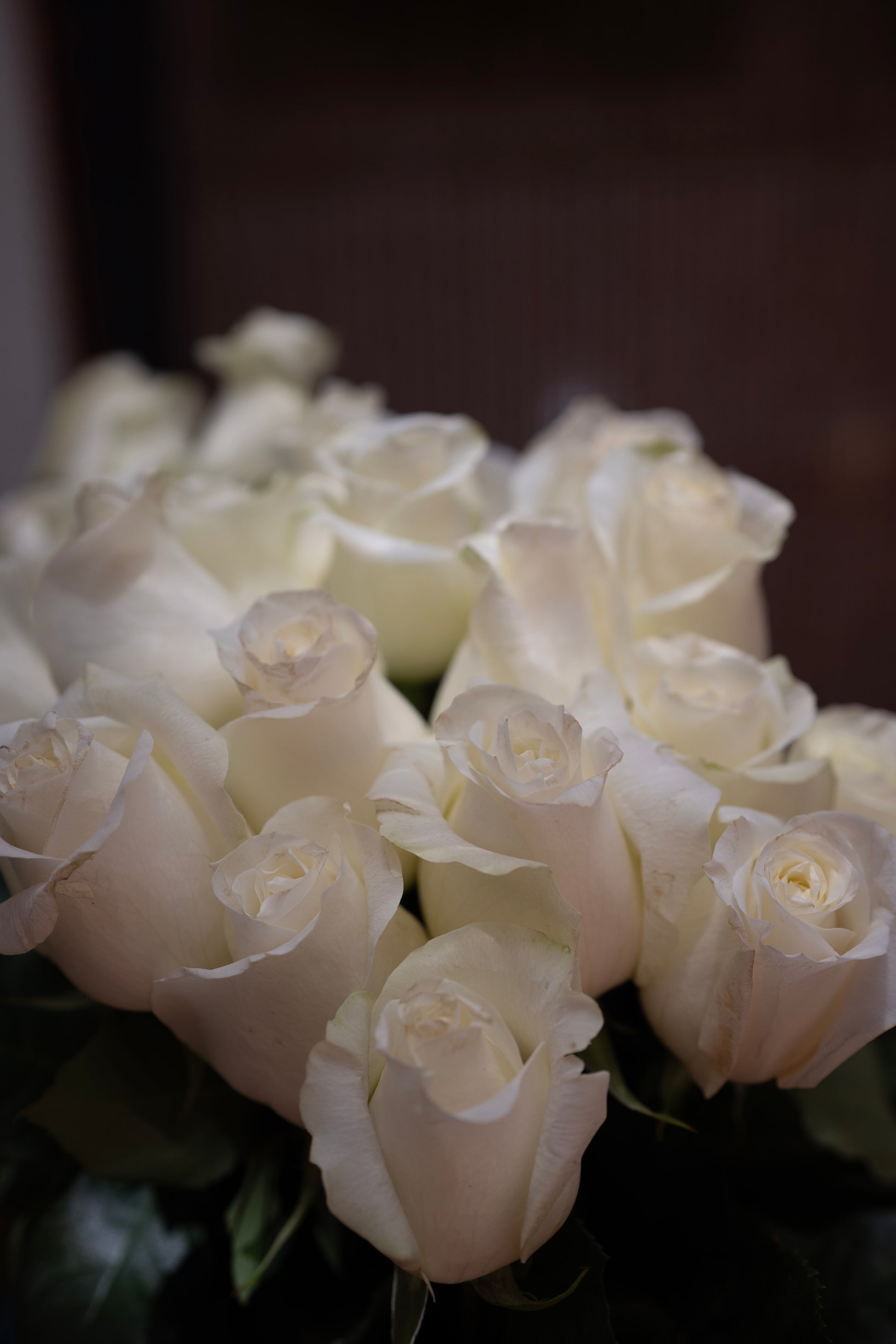 Bouquet of white roses with a blurred background
