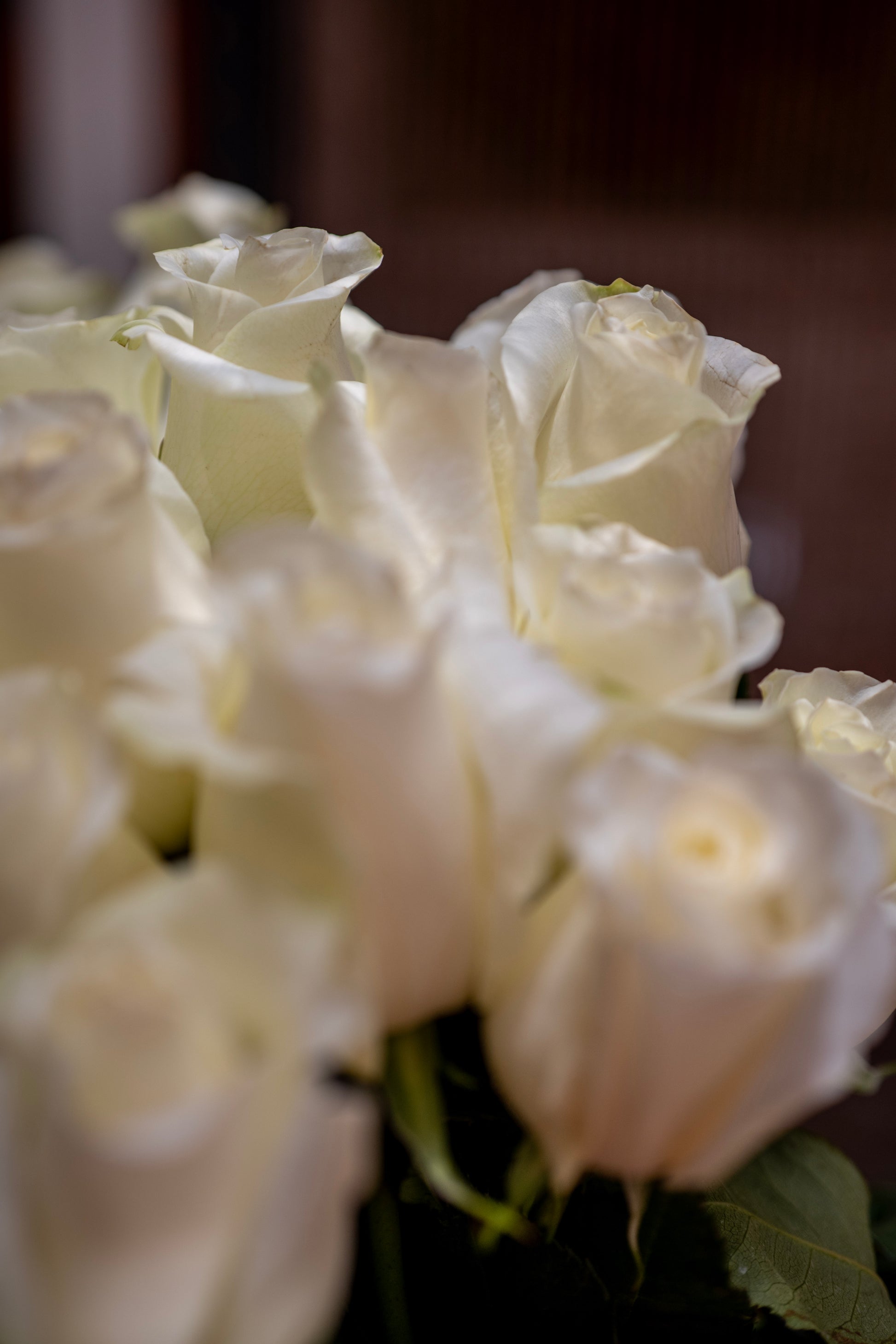 Close-up of a bouquet of white roses with a blurred background