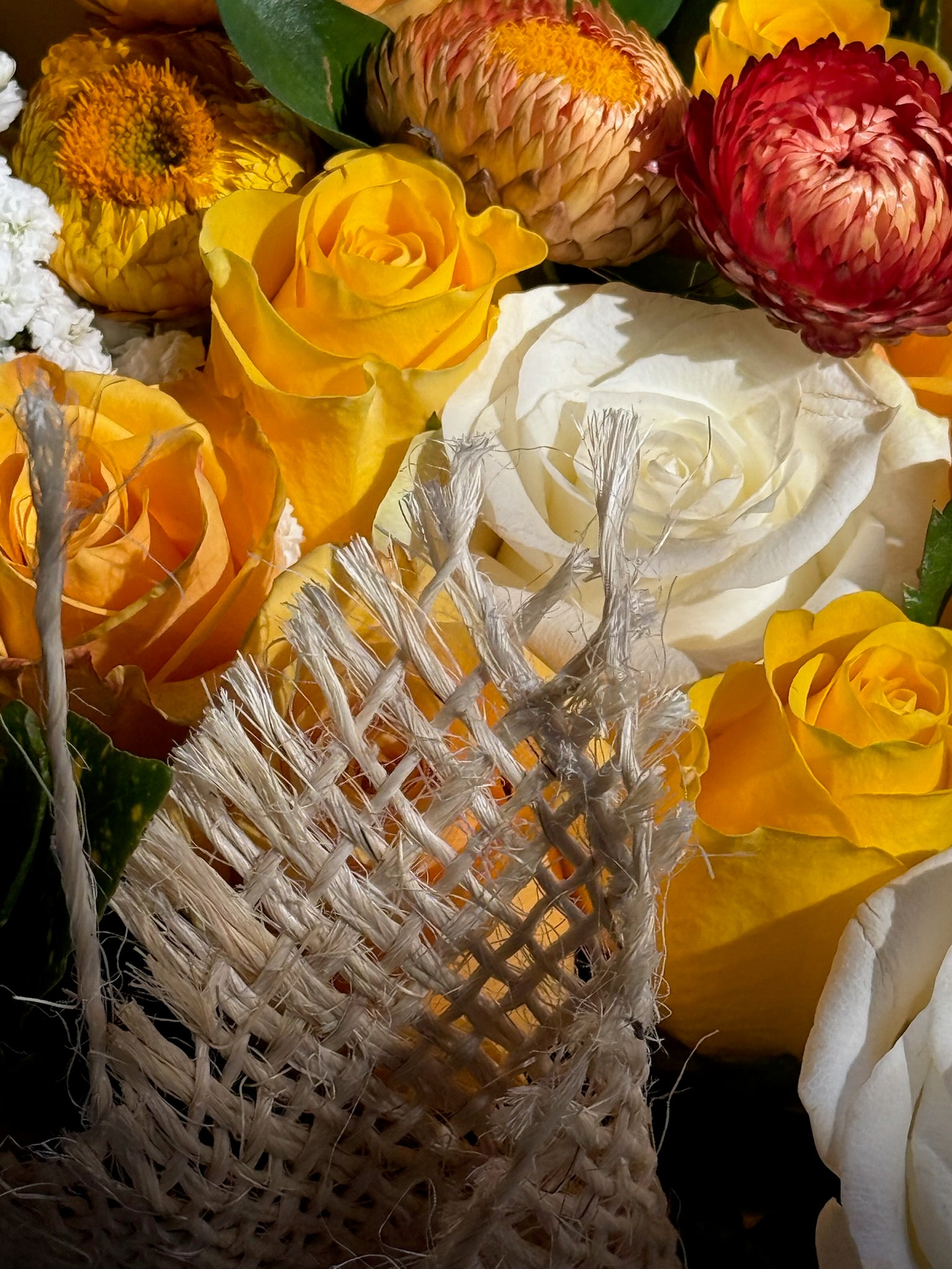 Yellow Submarine (Signature Petal Arrangement)