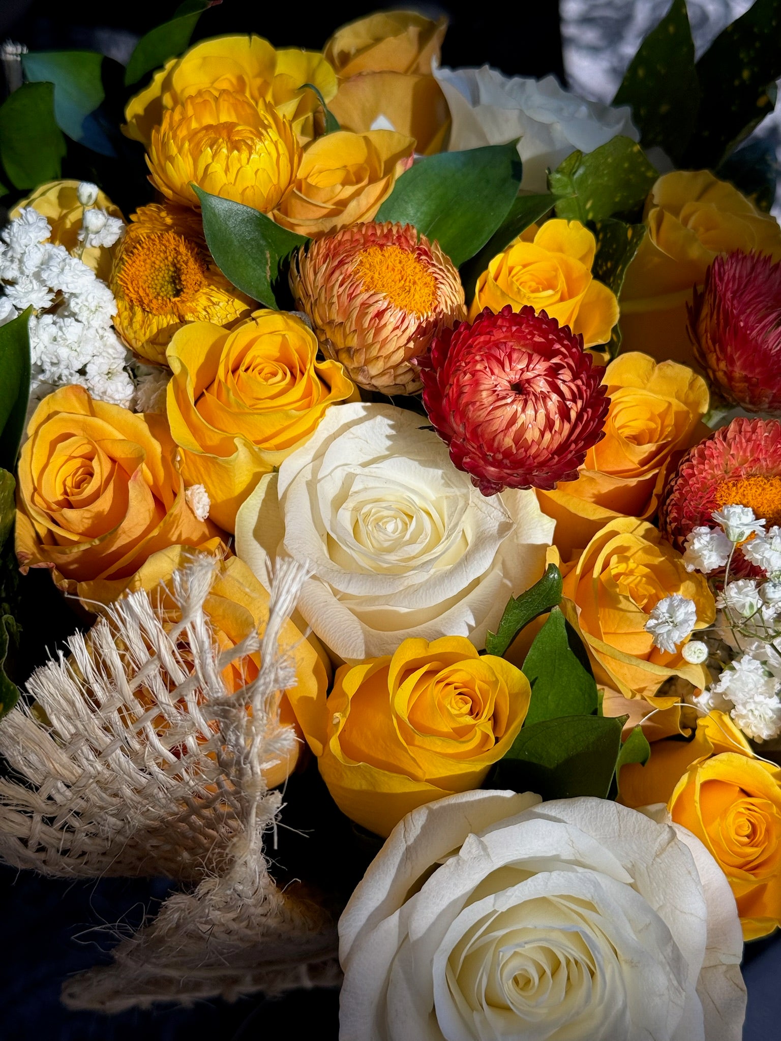 Yellow Submarine (Signature Petal Arrangement)