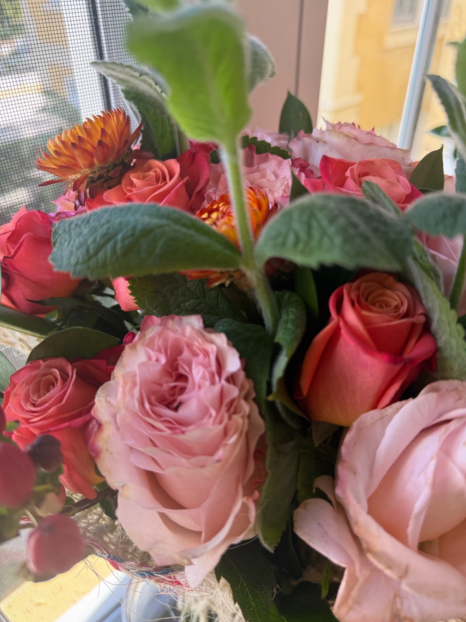 Pink Floyd (Signature Petal Arrangement)