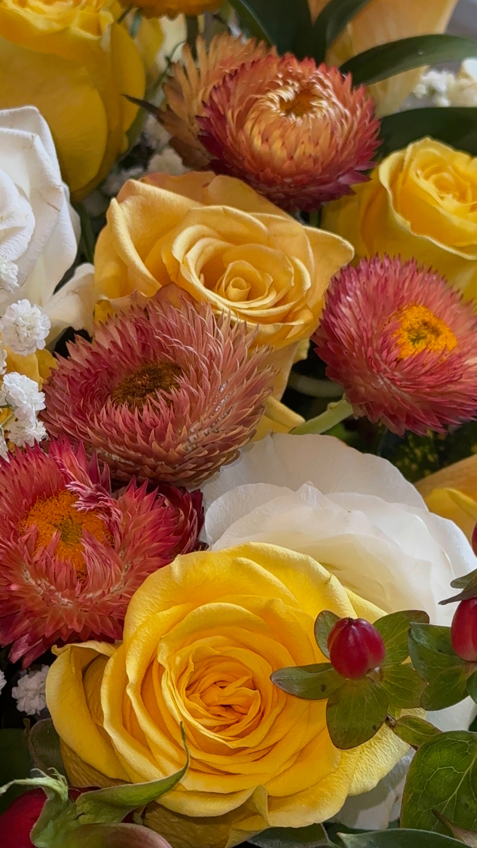 Yellow Submarine (Signature Petal Arrangement)