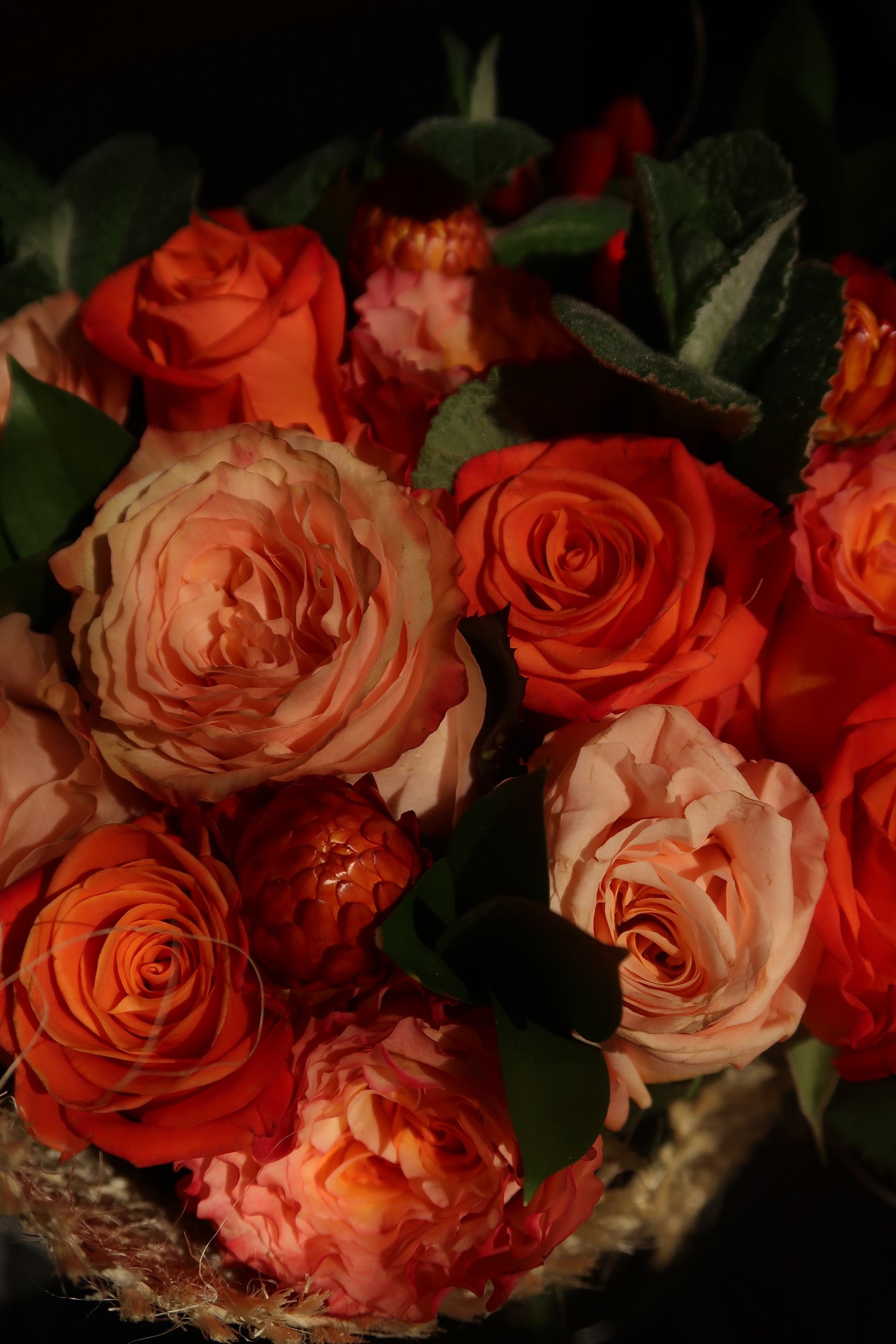 Orange Crush (Signature Petal Arrangement)
