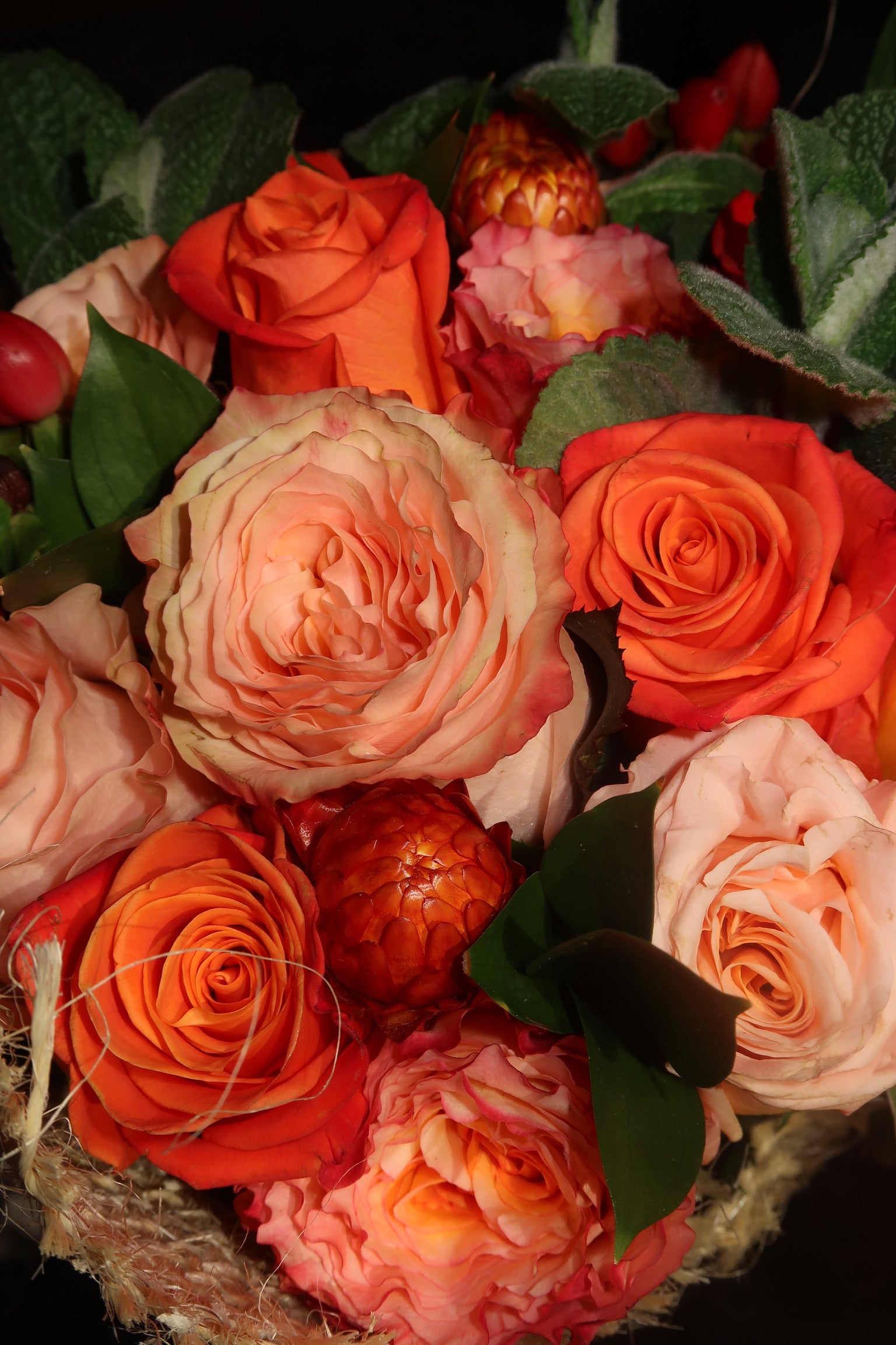 Orange Crush (Signature Petal Arrangement)