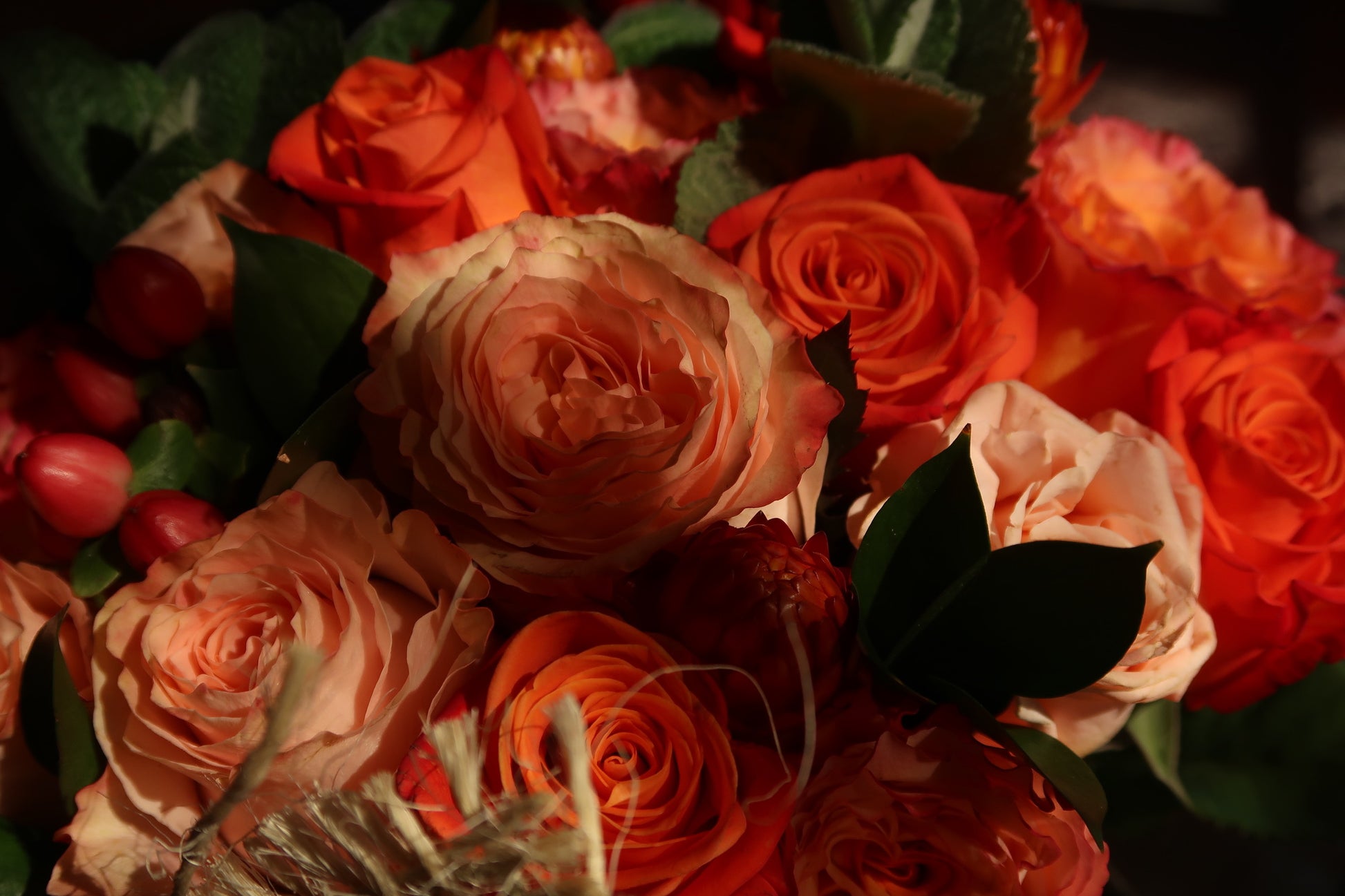 Orange Crush (Signature Petal Arrangement)