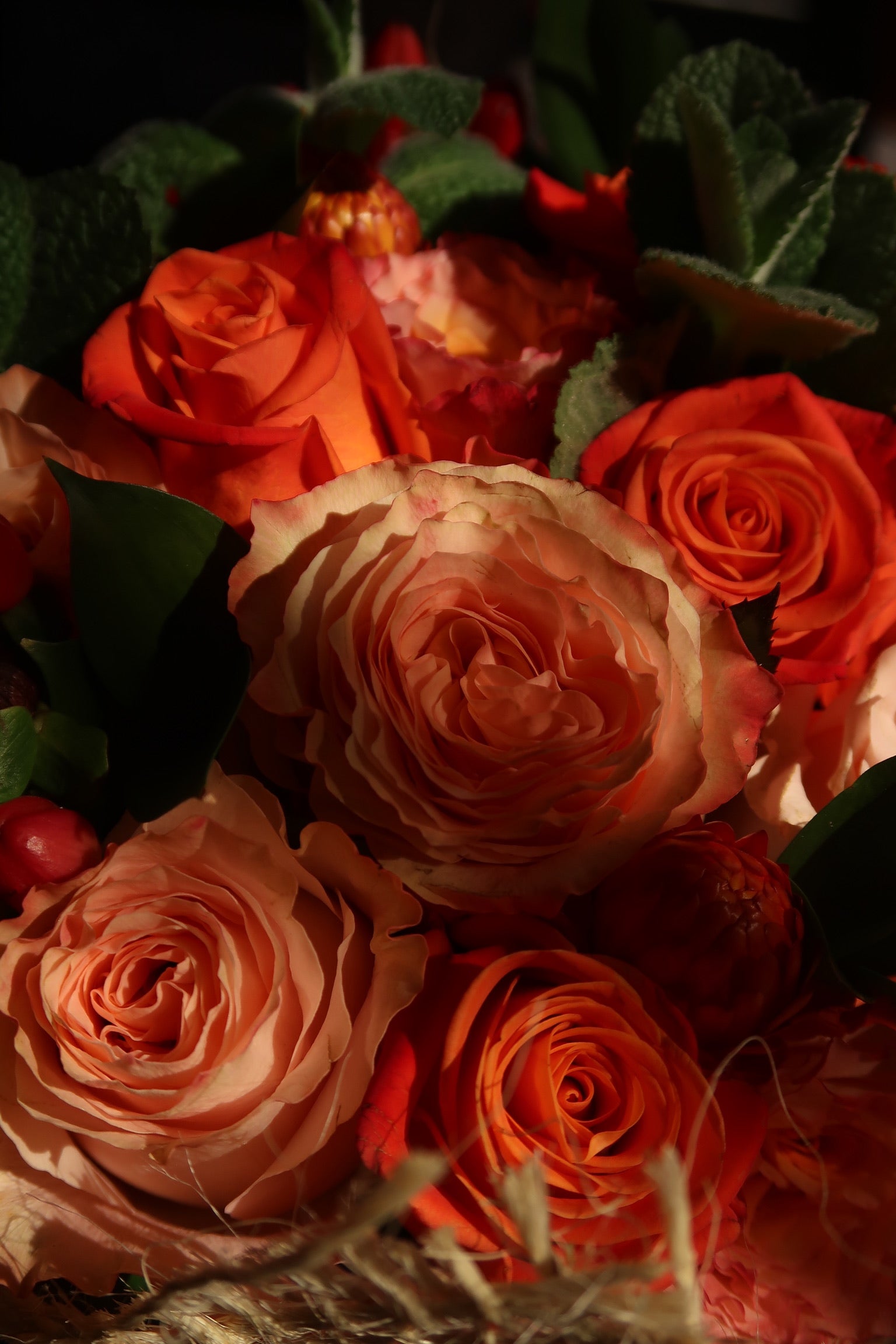 Orange Crush (Signature Petal Arrangement)