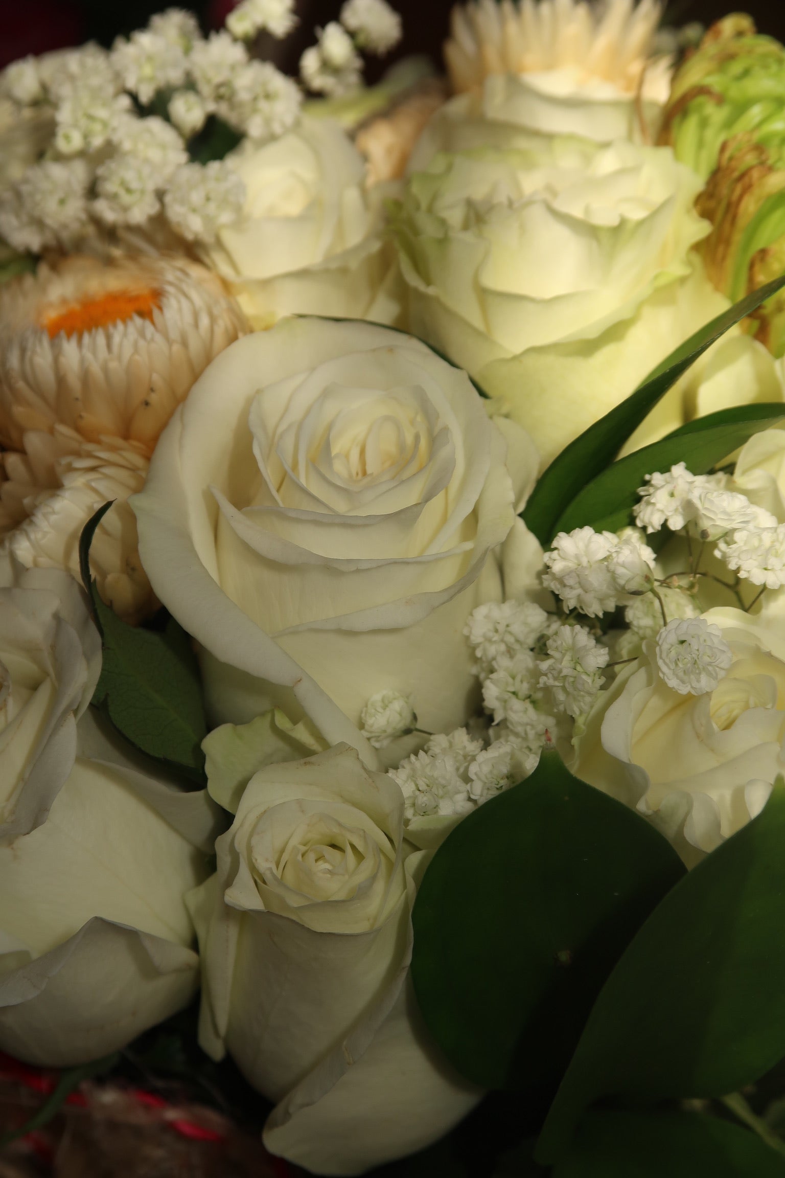 Eternal White (Signature Petal Arrangement)