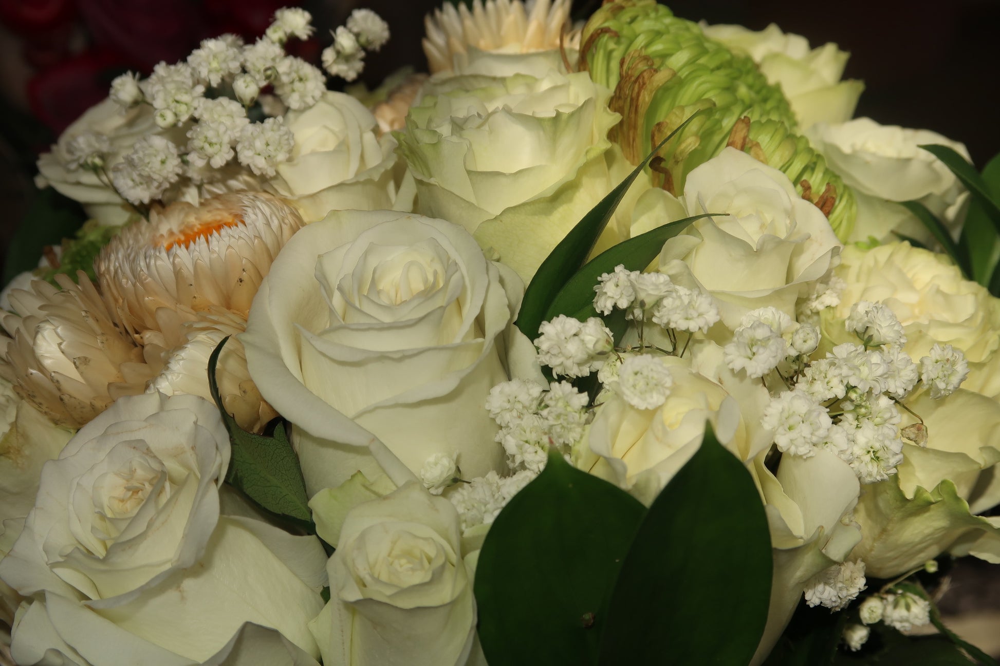 Eternal White (Signature Petal Arrangement)