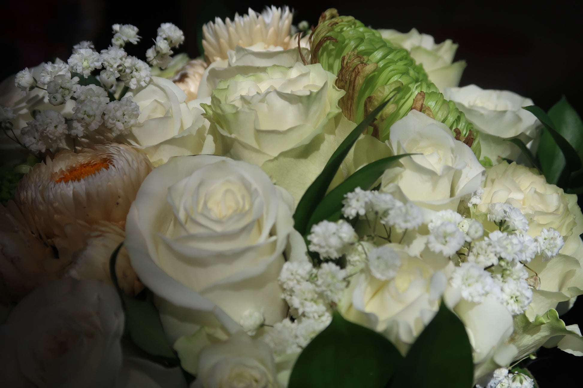 Eternal White (Signature Petal Arrangement)