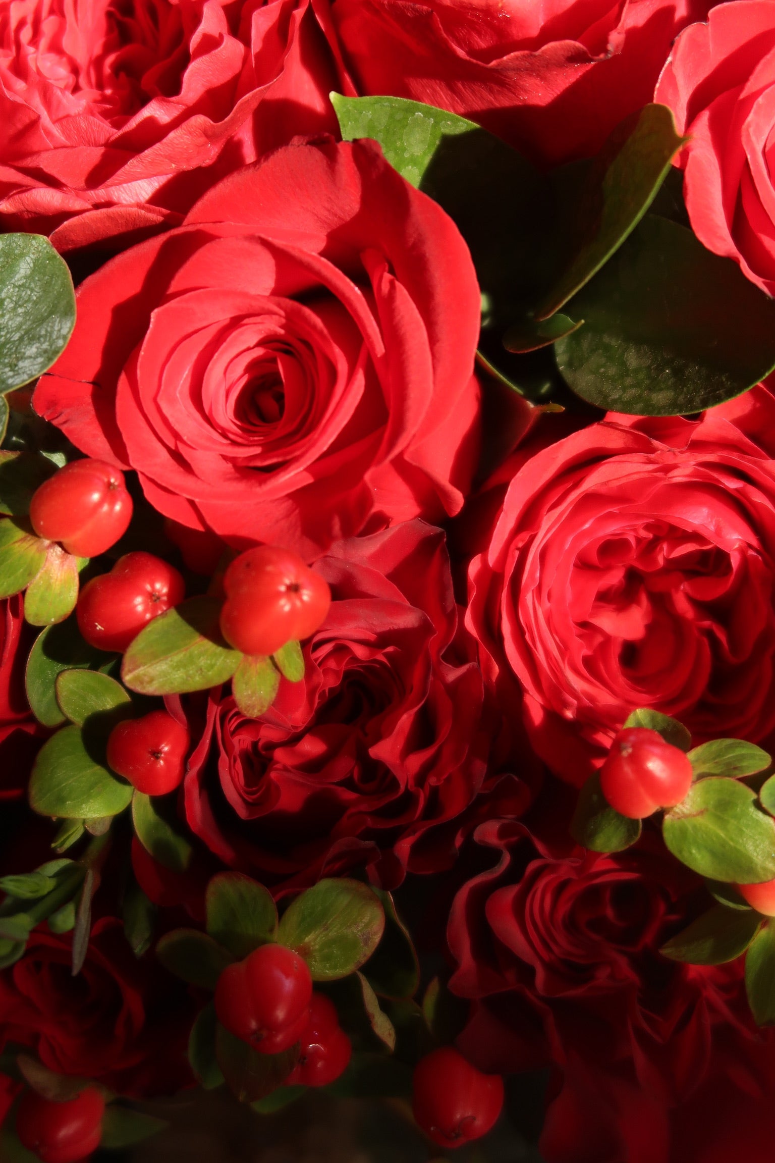Red Red Wine (Signature Petal Arrangement)