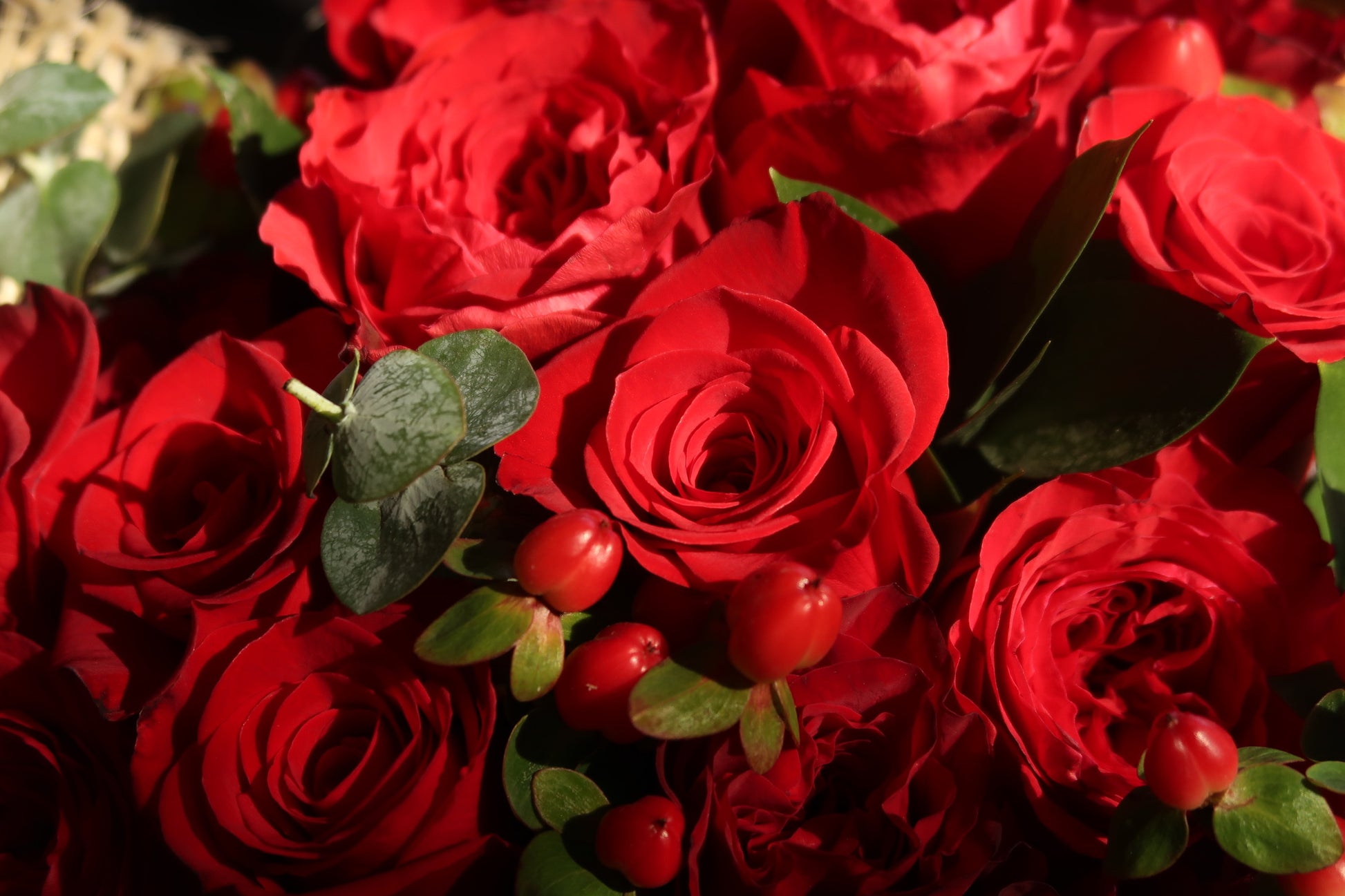 Red Red Wine (Signature Petal Arrangement)