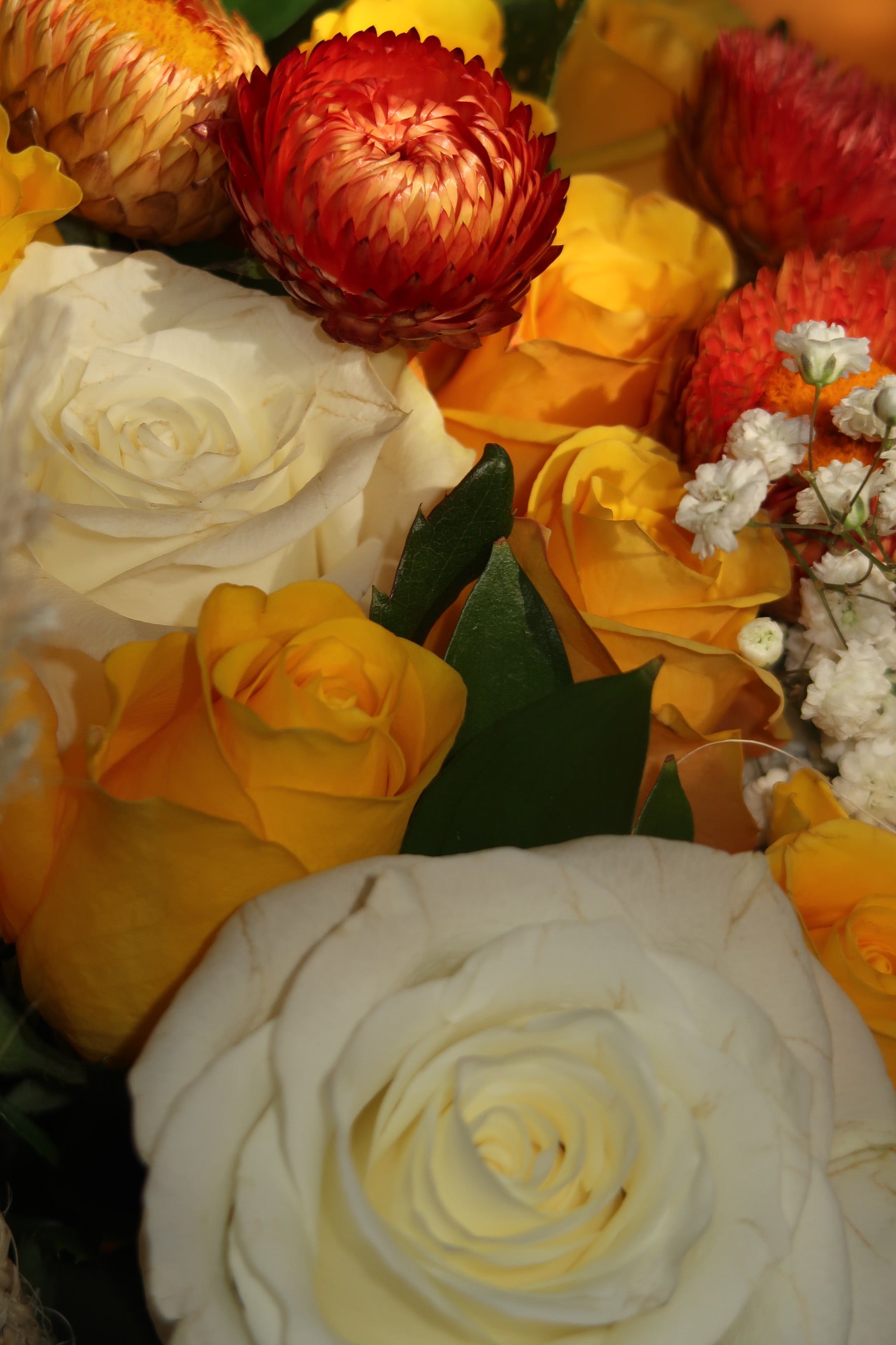 Yellow Submarine (Signature Petal Arrangement)