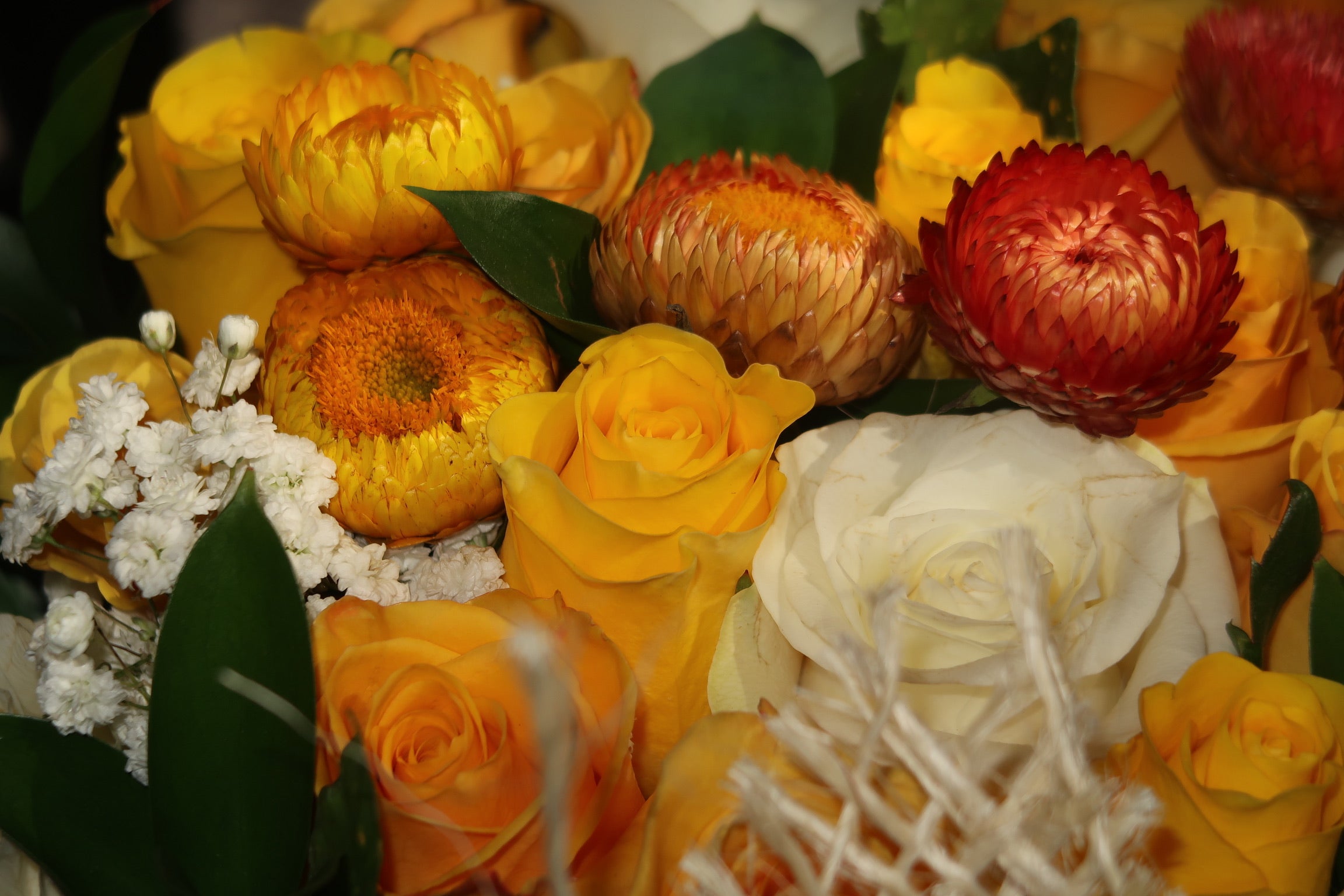 Yellow Submarine (Signature Petal Arrangement)