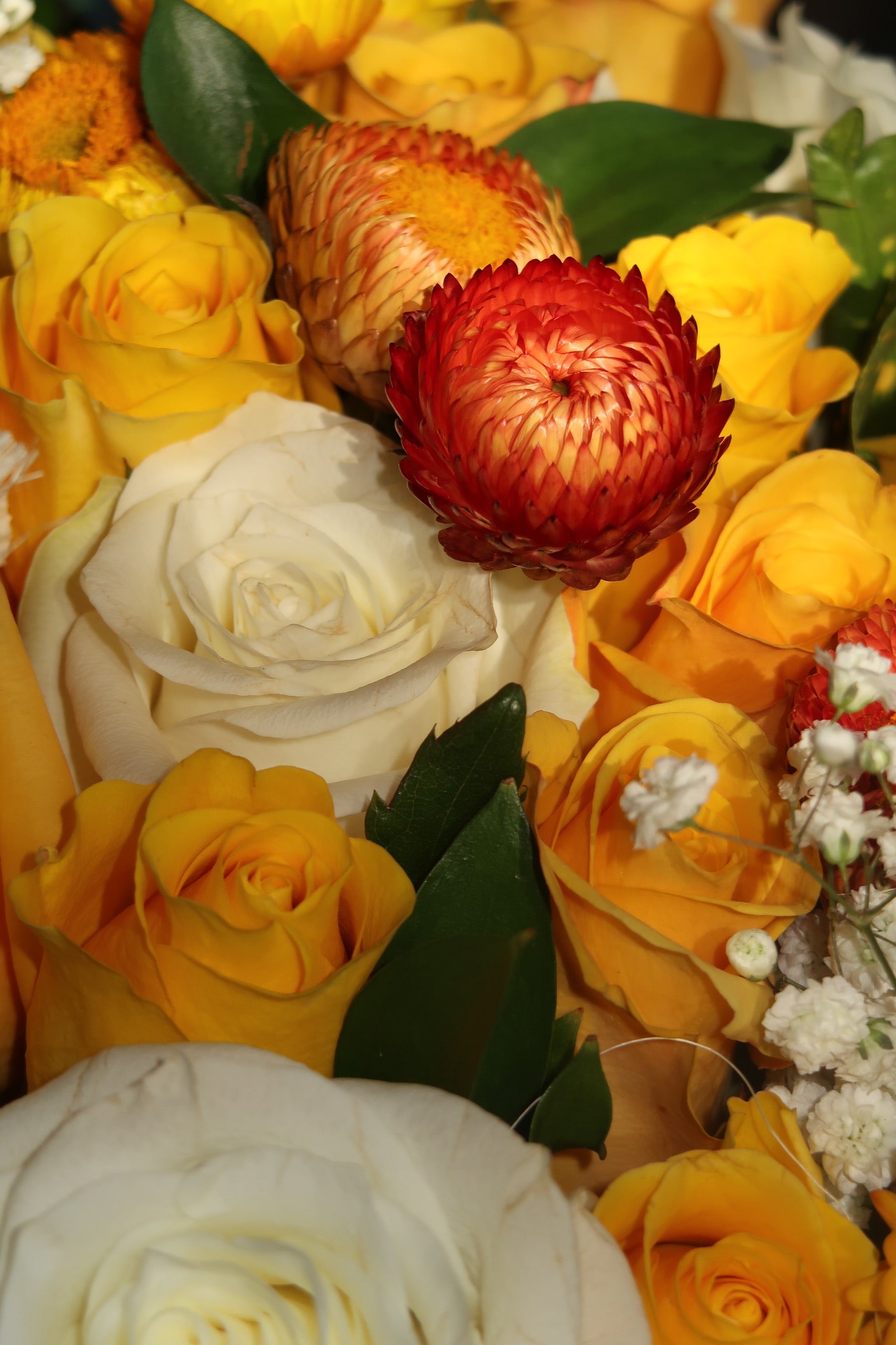 Yellow Submarine (Signature Petal Arrangement)