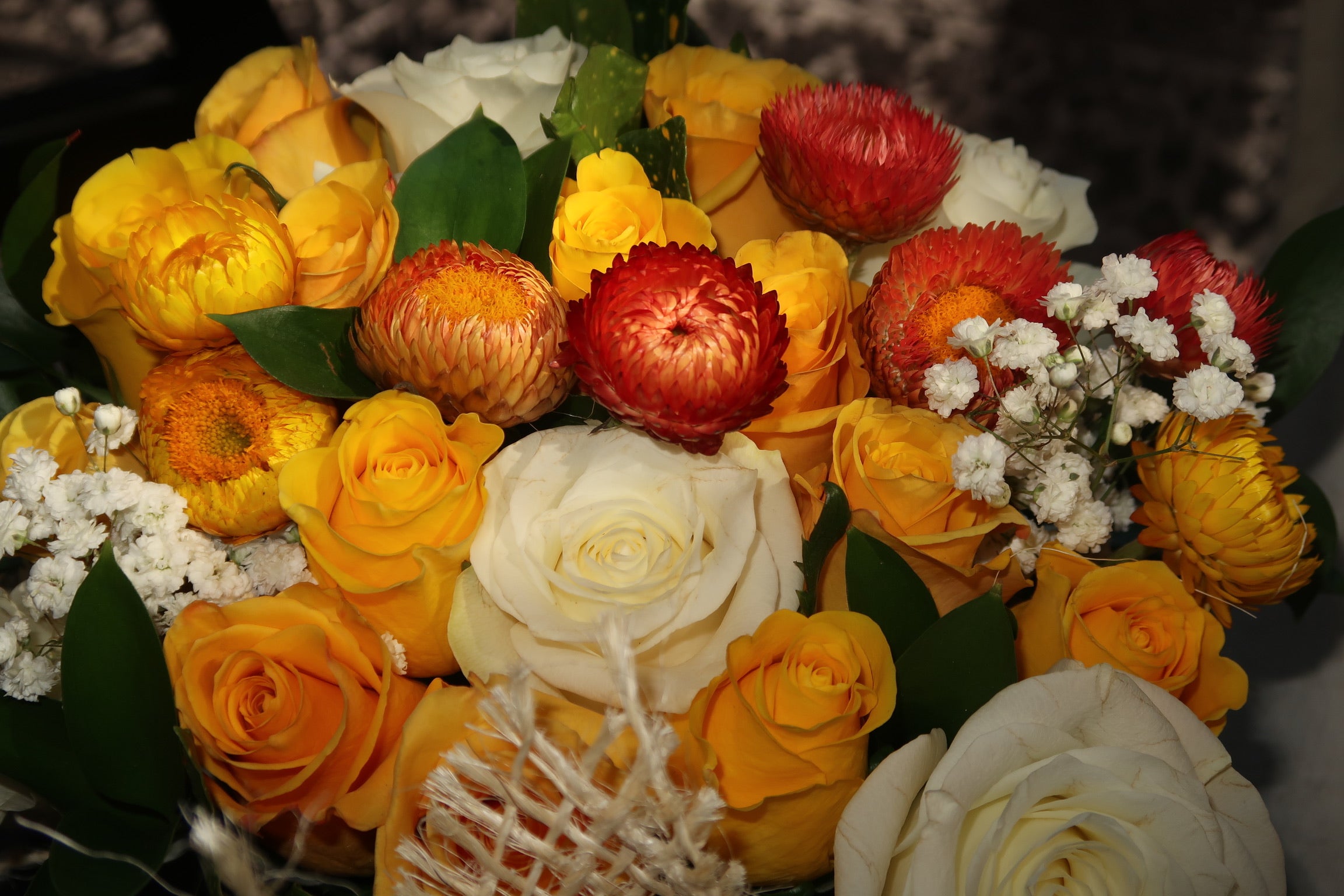 Yellow Submarine (Signature Petal Arrangement)