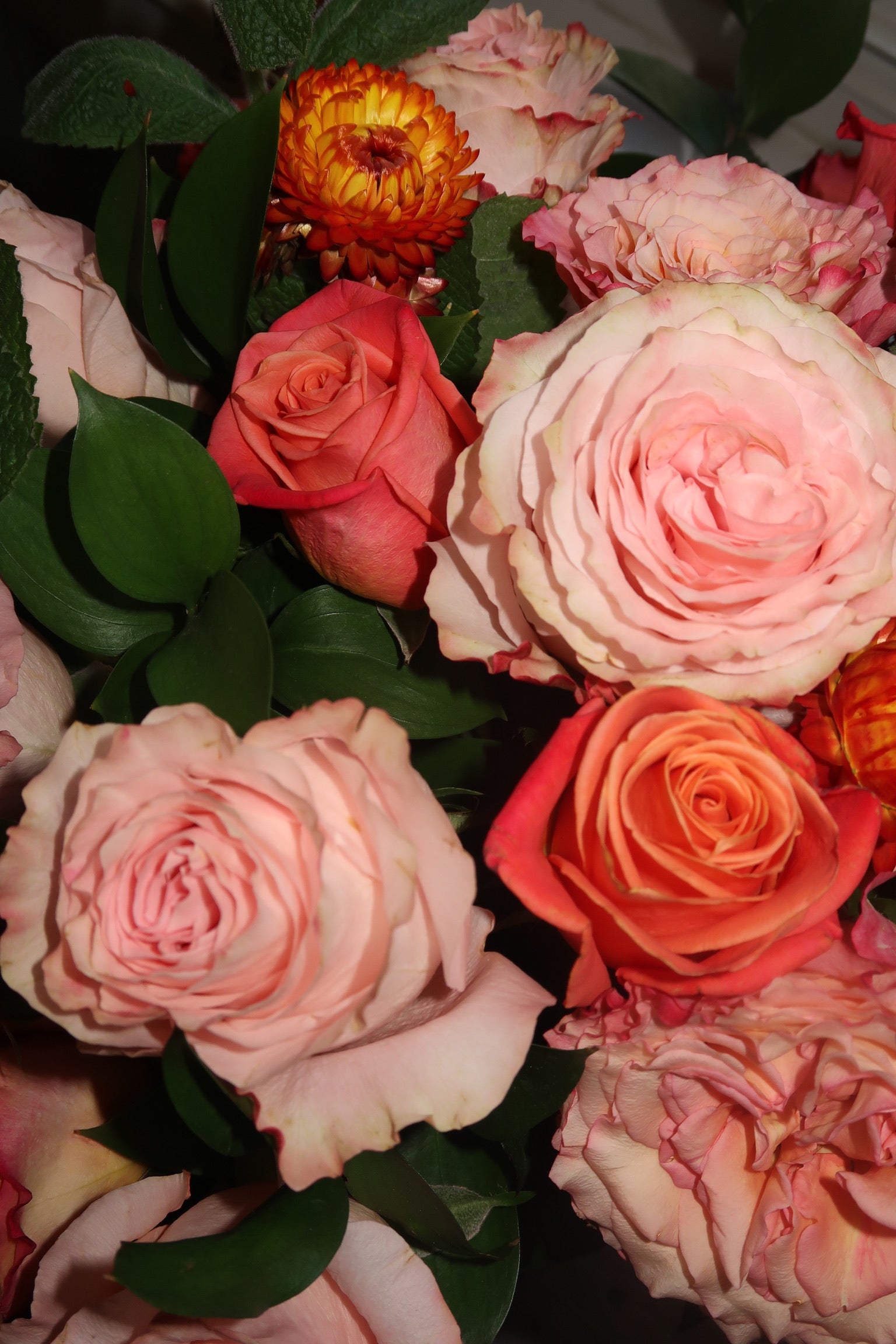 Orange Crush (Signature Petal Arrangement)