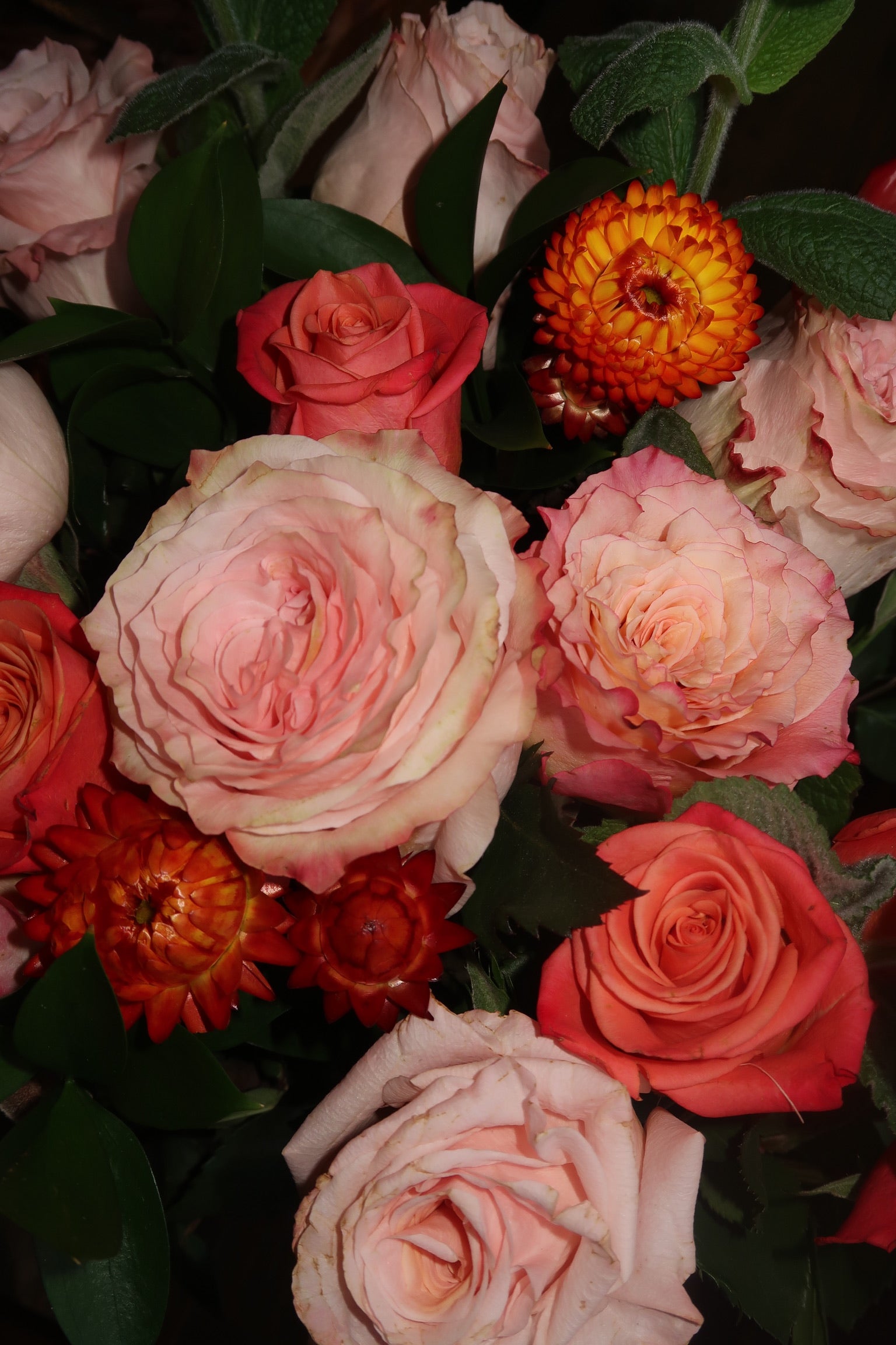 Pink Floyd (Signature Petal Arrangement)