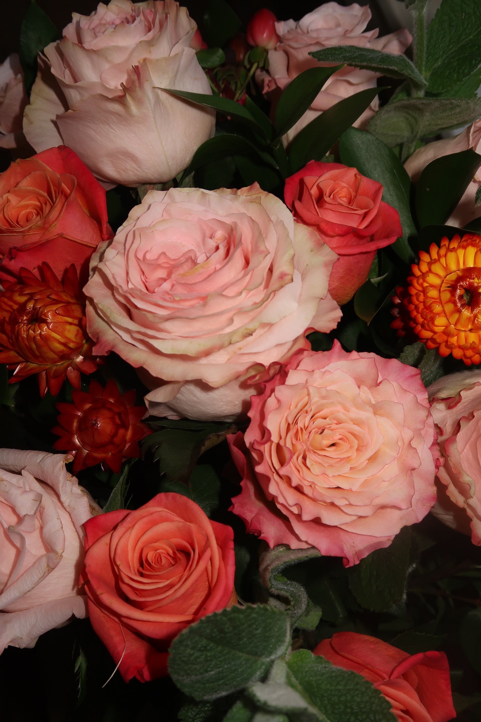 Pink Floyd (Signature Petal Arrangement)