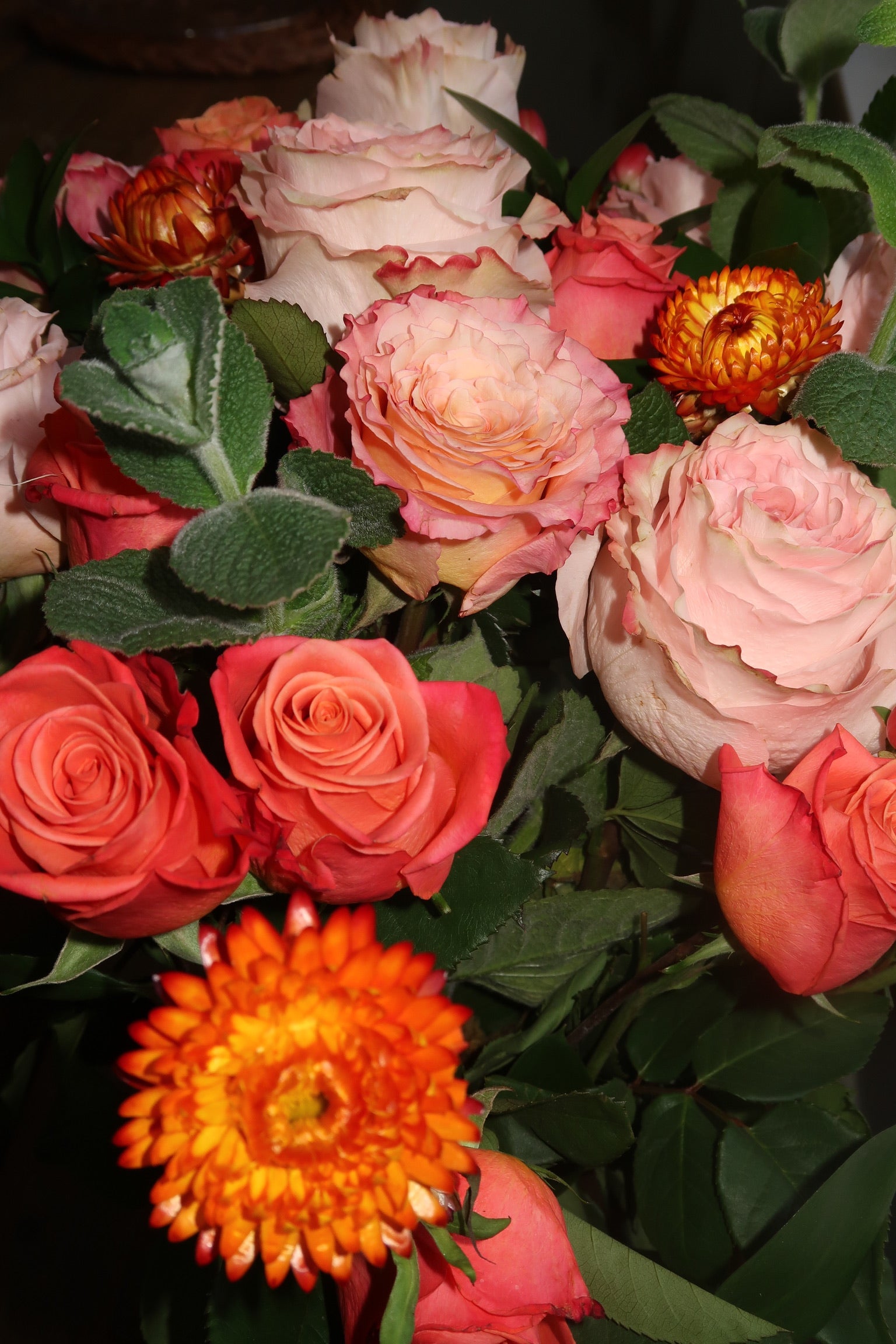 Pink Floyd (Signature Petal Arrangement)