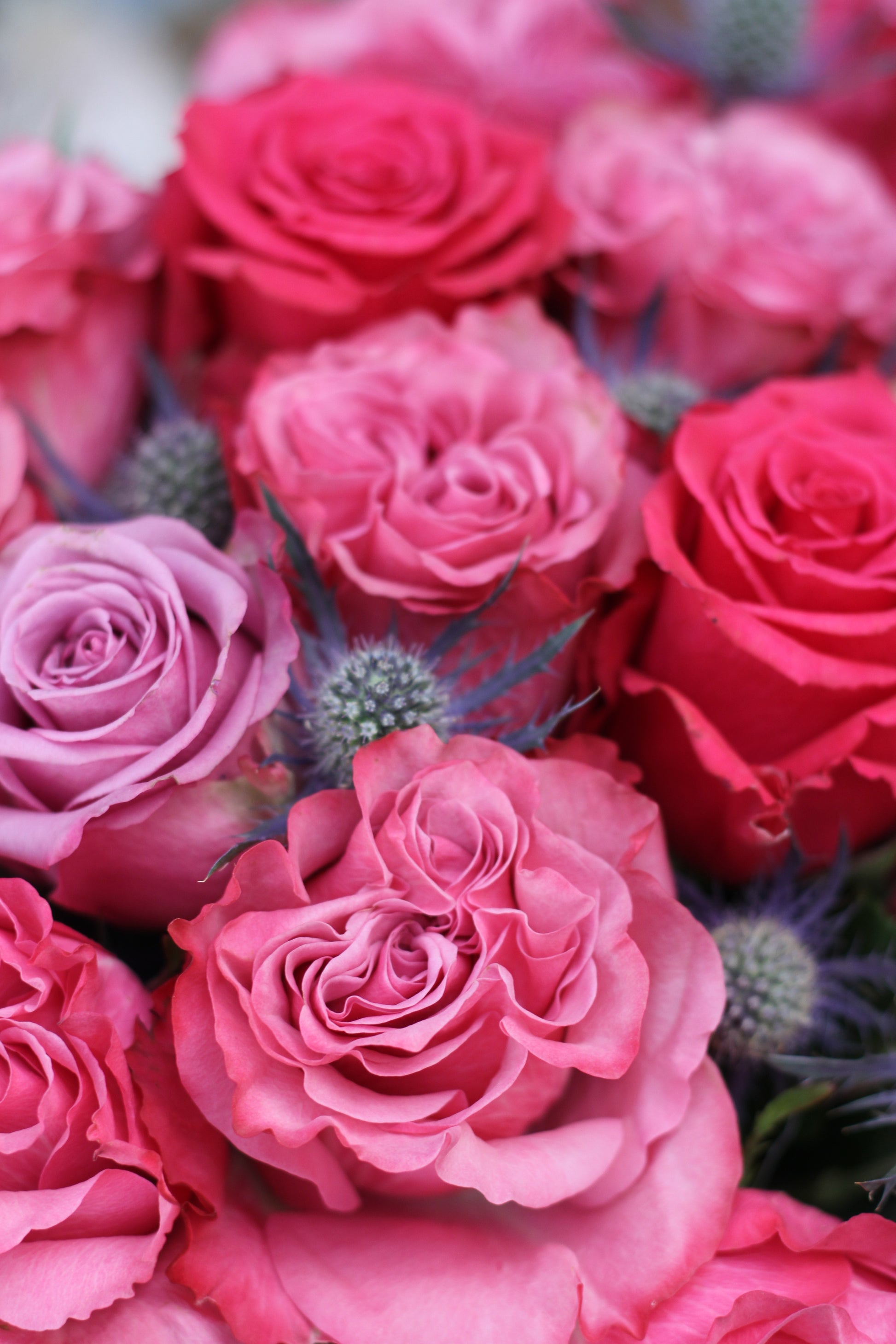 The Unfolding Bouquet - Lavender & Purple Roses (Valentine's Collection)