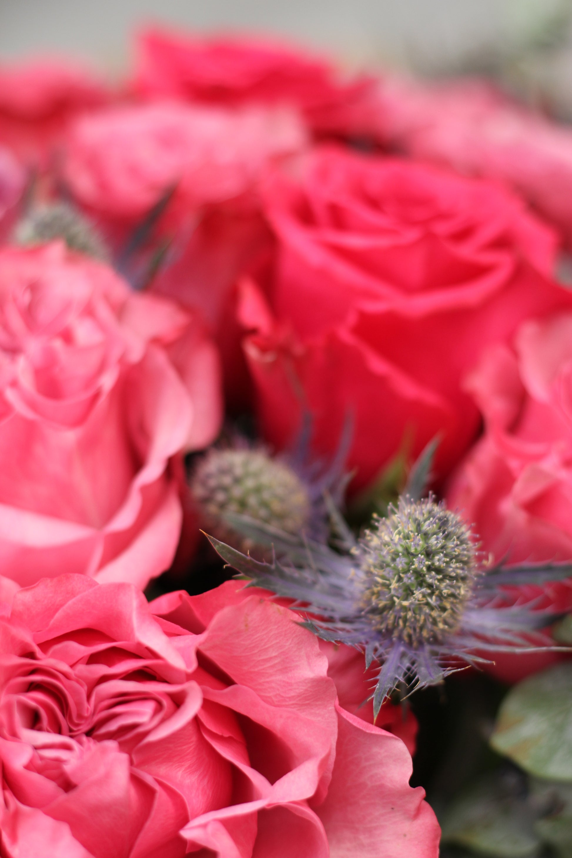 The Unfolding Bouquet - Lavender & Purple Roses (Valentine's Collection)