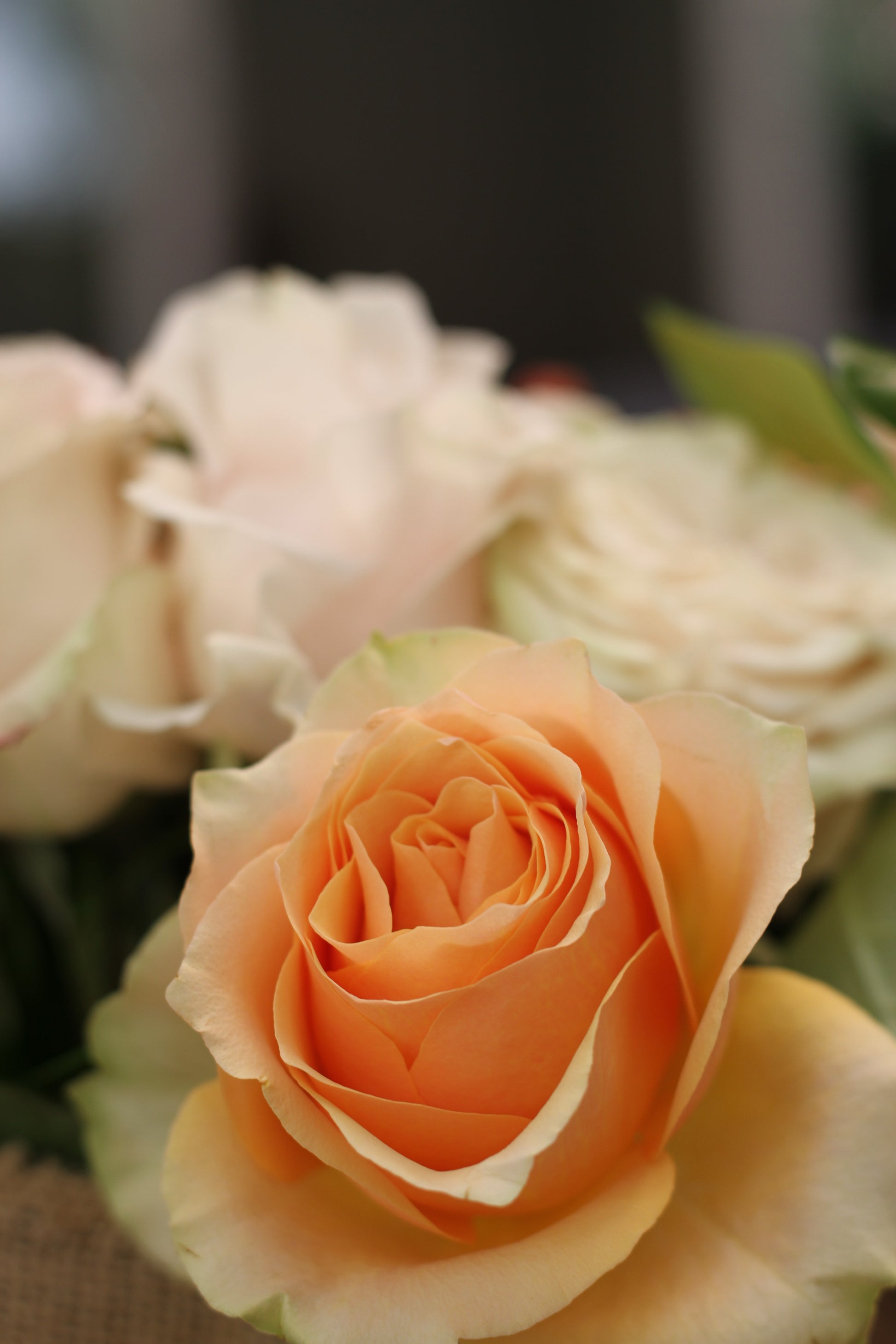 The Sanctuary Bouquet - Peach Roses (Valentine's Collection)