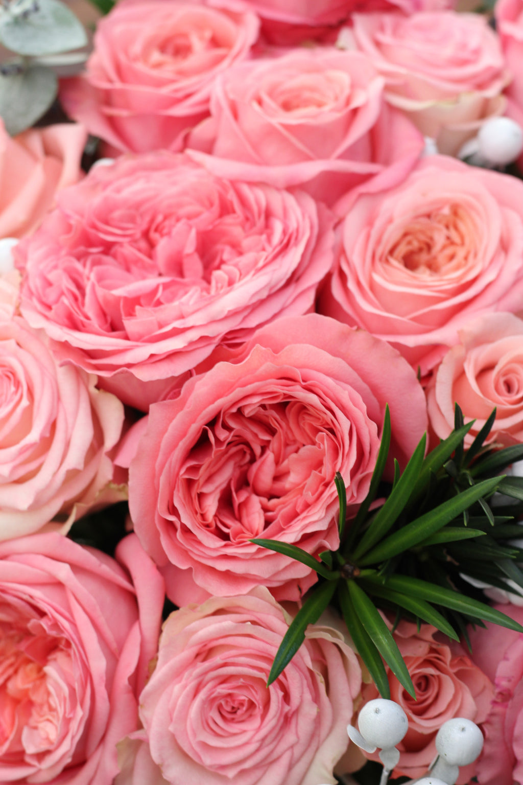 Be Patient Bouquet