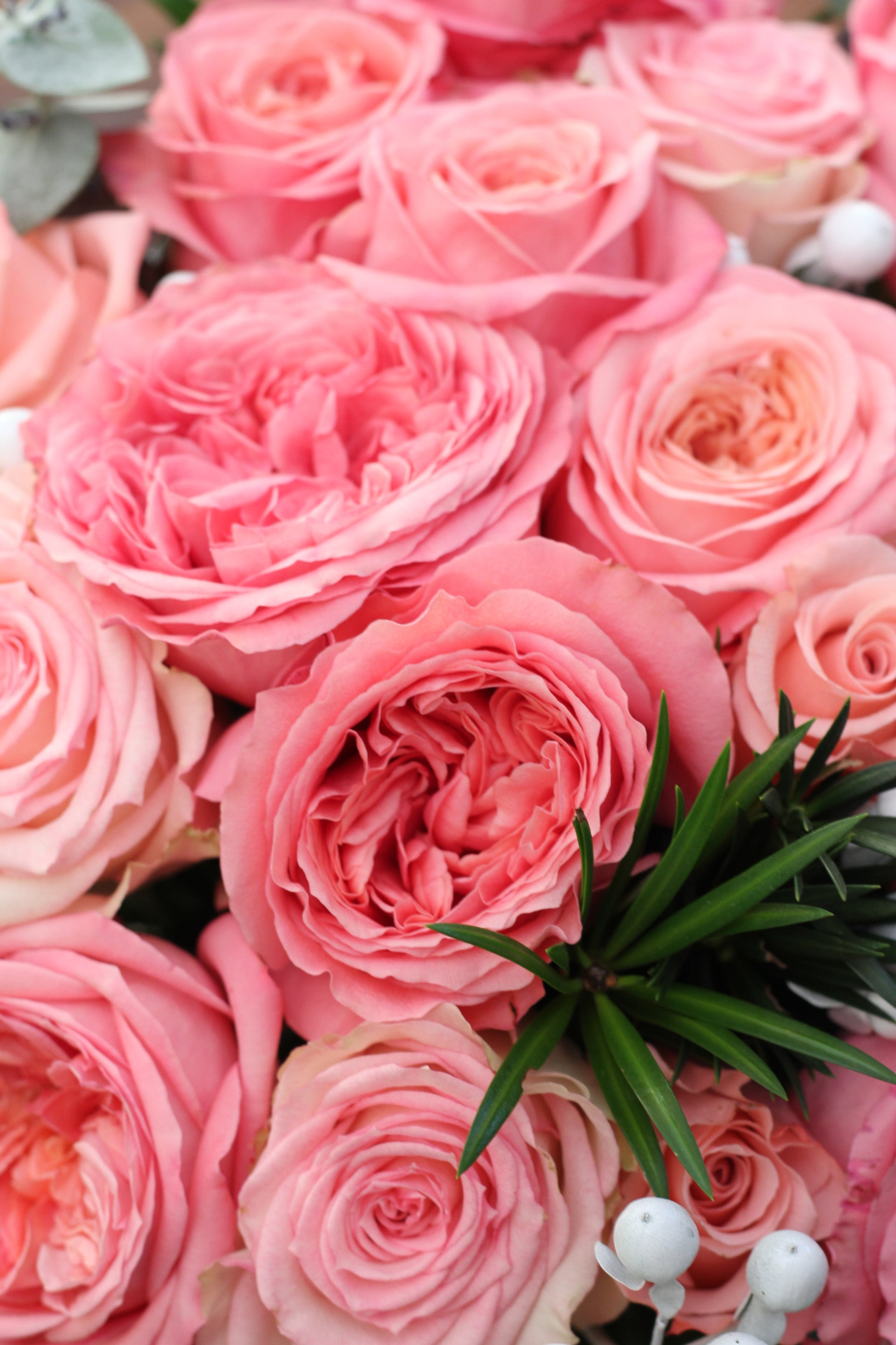 The Togetherness Bouquet - Pink Roses (Valentine's Collection)