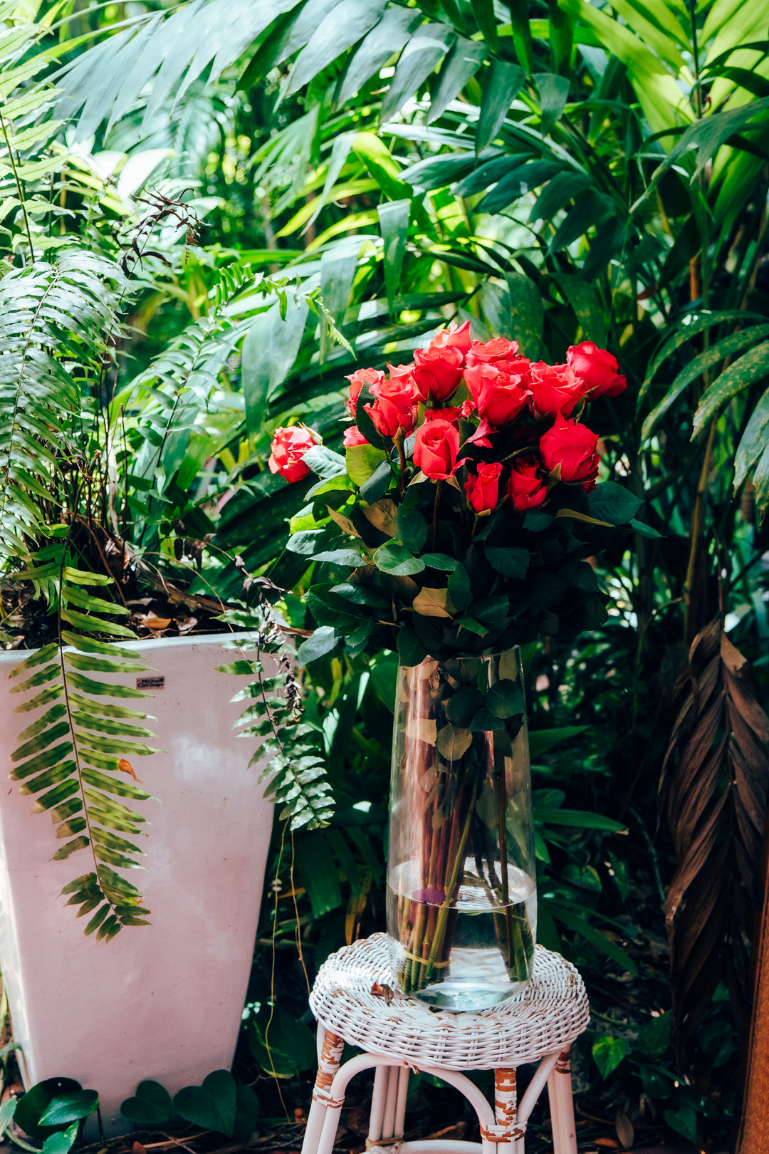 Bouquet of hot pink roses in a clear vase surrounded by green plants