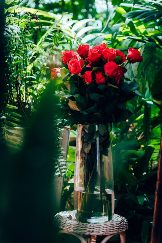Bouquet of hot pink roses in a clear vase on a wicker table with green foliage in the background