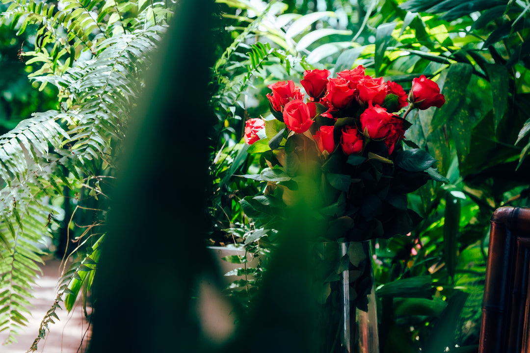 Bouquet of hot pink roses surrounded by green foliage