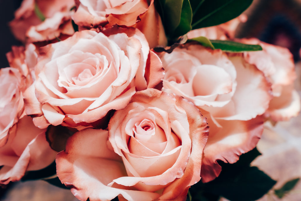 Close-up of a bouquet of pink roses with green leaves.