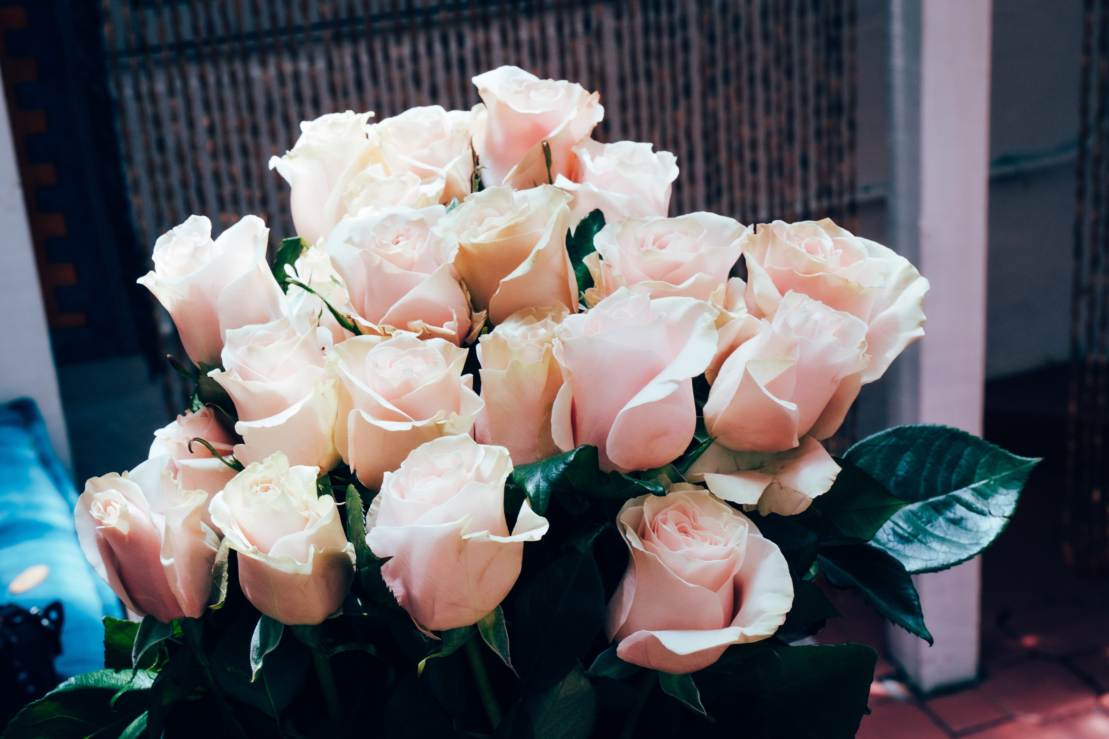 Bouquet of pink roses with green leaves on a blurred background