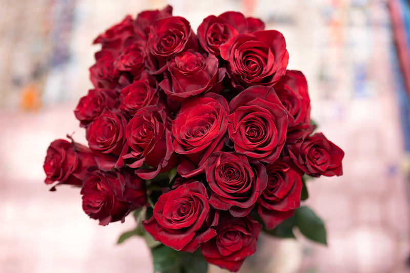 Bouquet of red roses with a blurred background