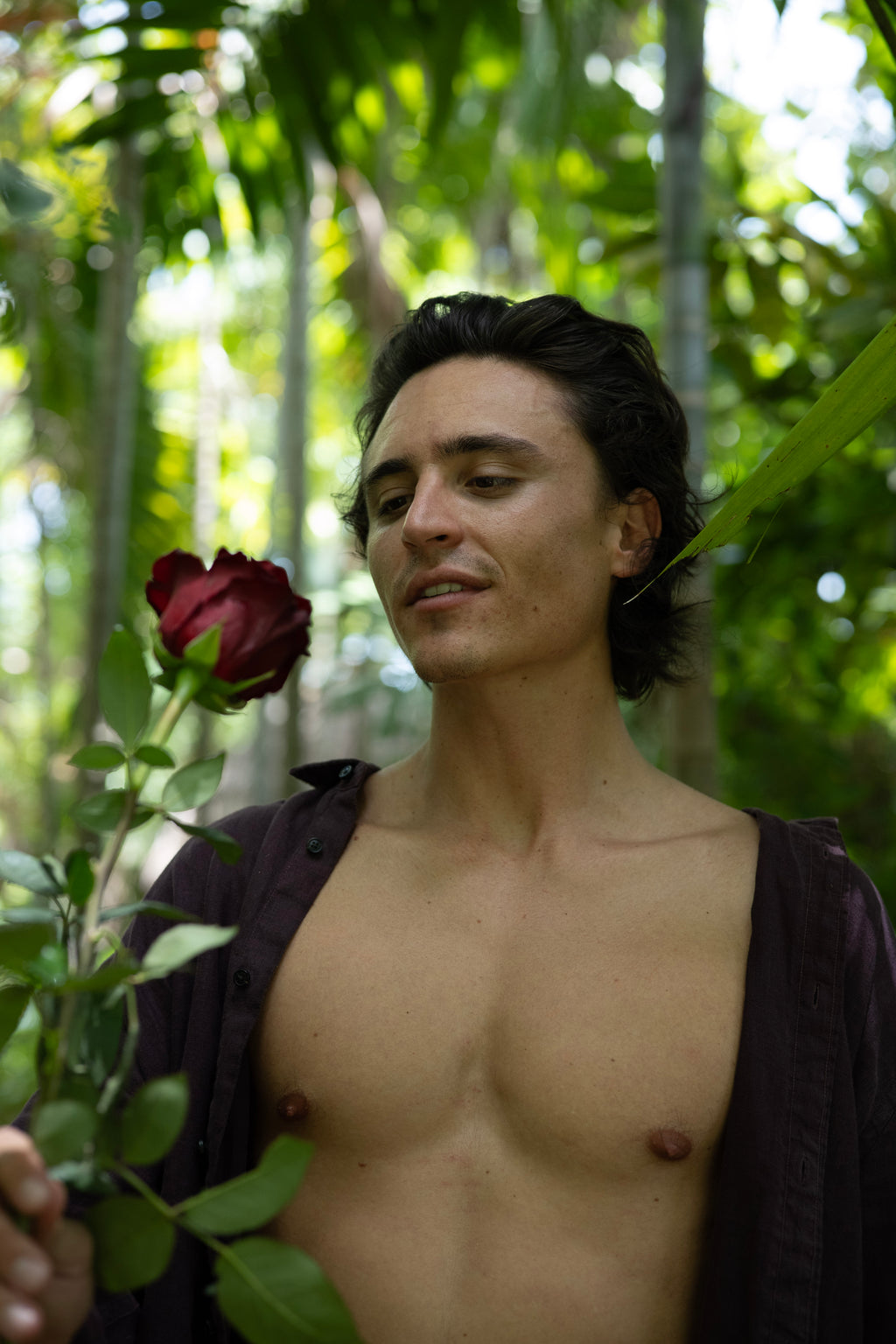 Red Rose — The Lover