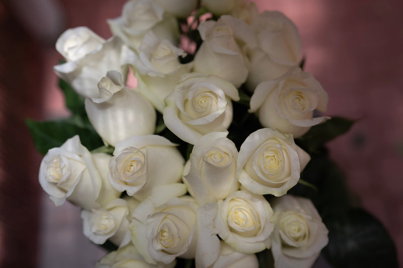 Bouquet of white roses with a blurred background